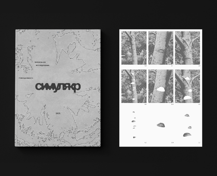 Визуальное исследование — Графика на Dprofile