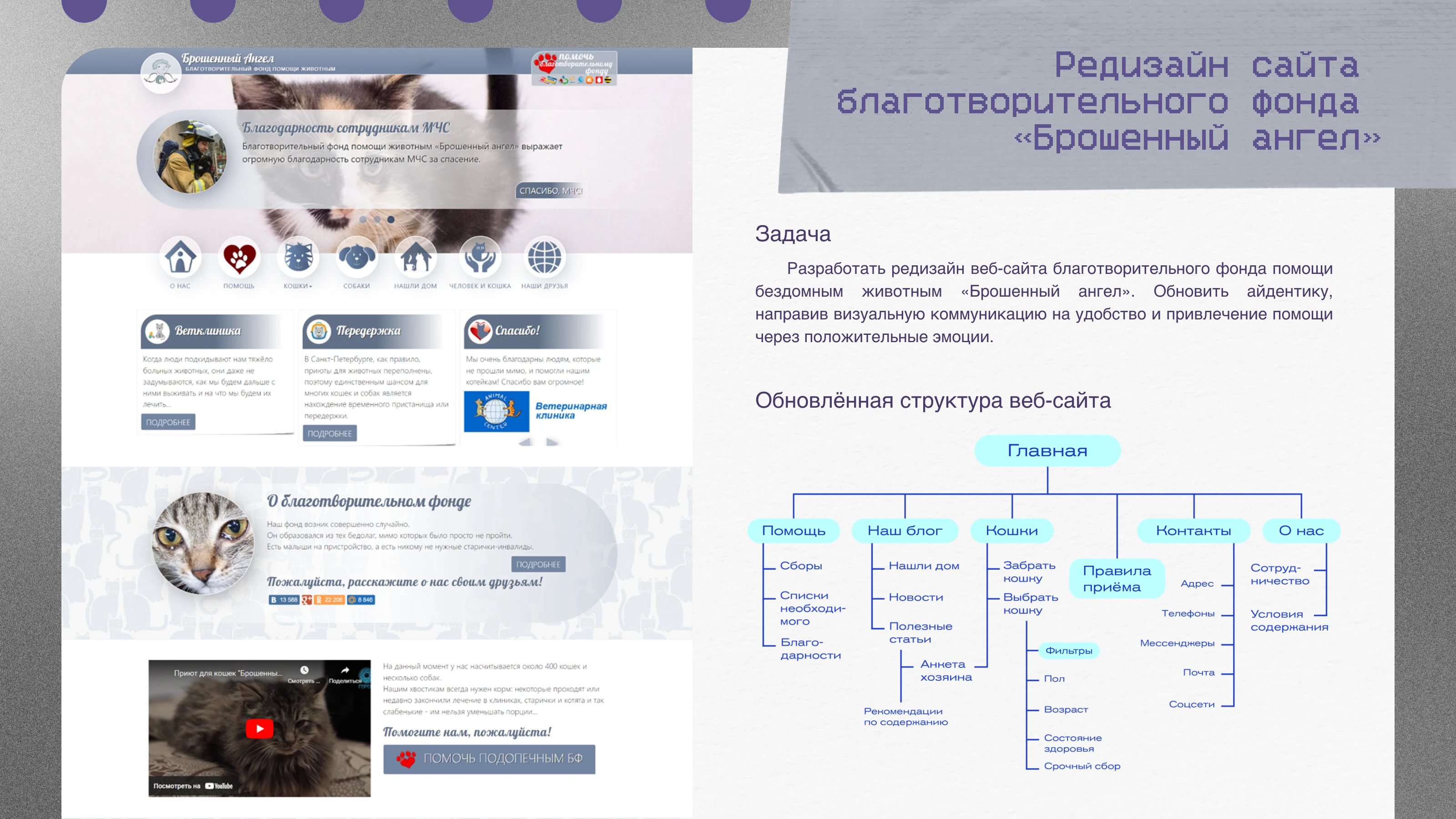 PORTFOLIO 2026 | Портфолио графического дизайнера — Изображение №7 — Брендинг, Графика на Dprofile
