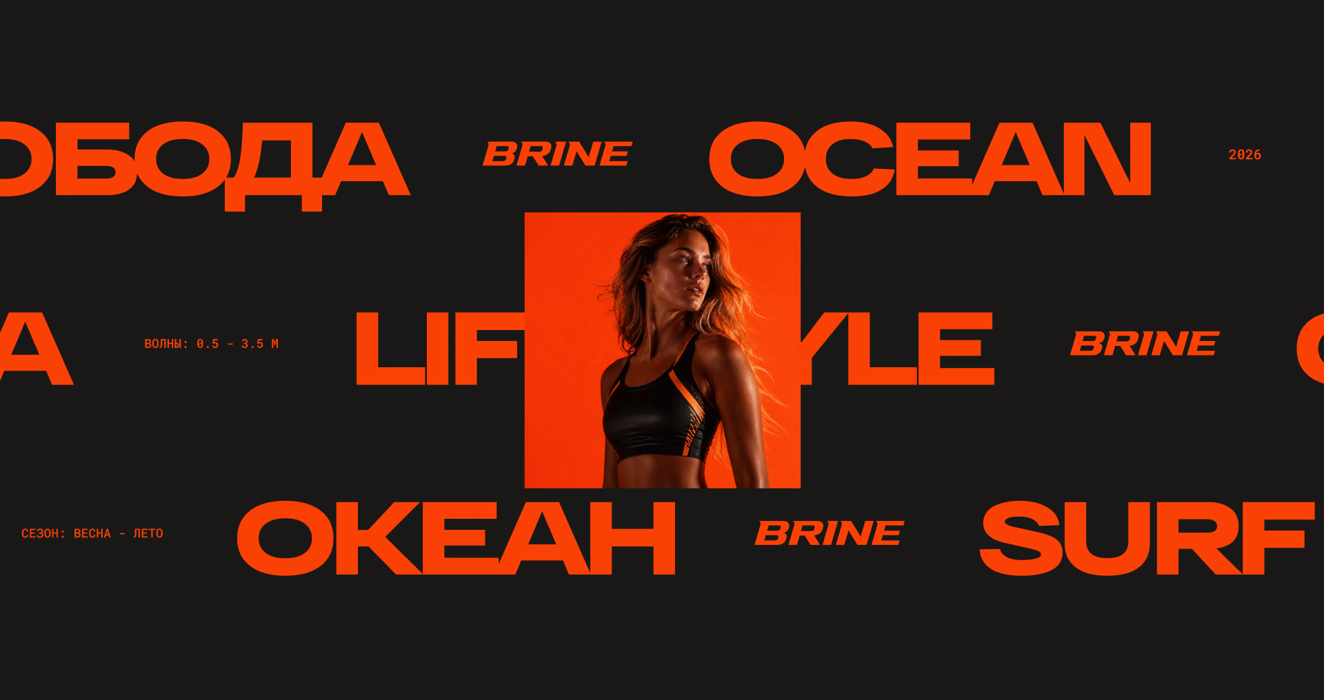 BRINE — Surf Brand Website | UI/UX — Изображение №7 — Интерфейсы, Анимация на Dprofile