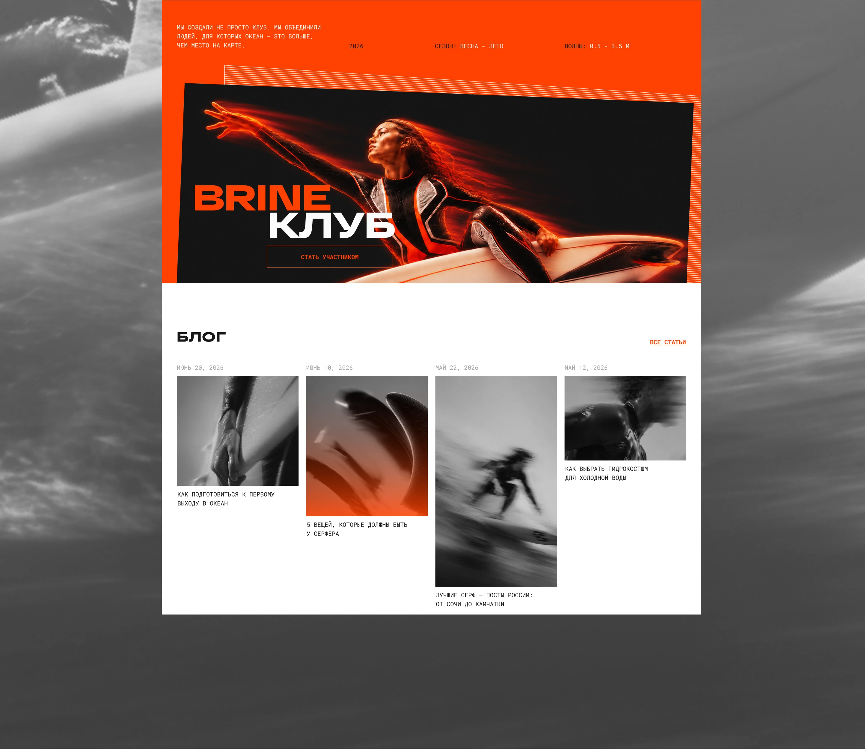 BRINE — Surf Brand Website | UI/UX — Изображение №6 — Интерфейсы, Анимация на Dprofile