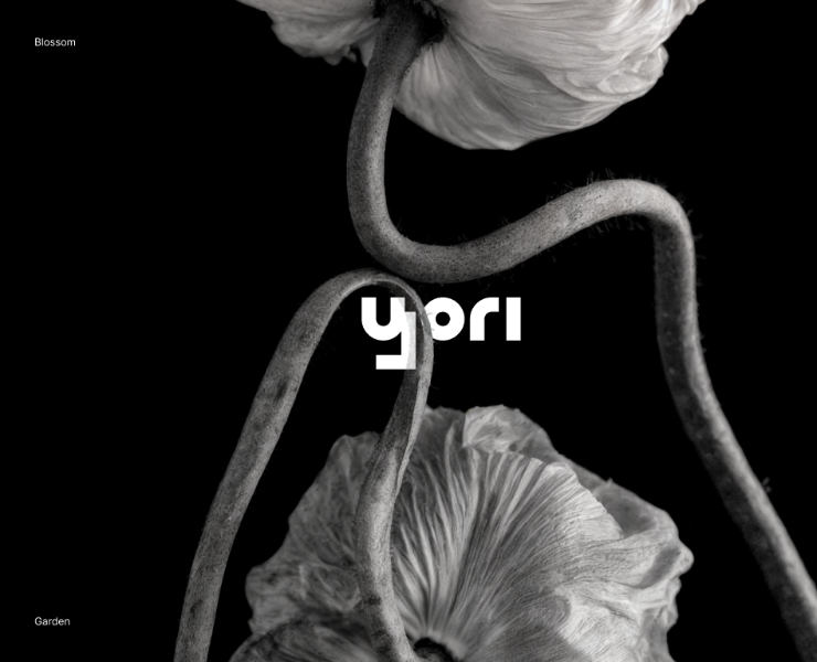 Flower studio | Branding design — Брендинг на Dprofile