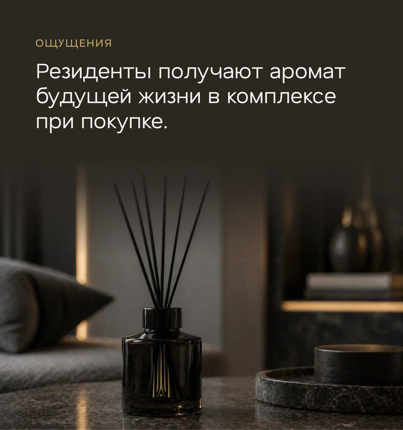 Гранд Чайковский. Высота, которую слышно. — Изображение №14 — Брендинг, Маркетинг на Dprofile