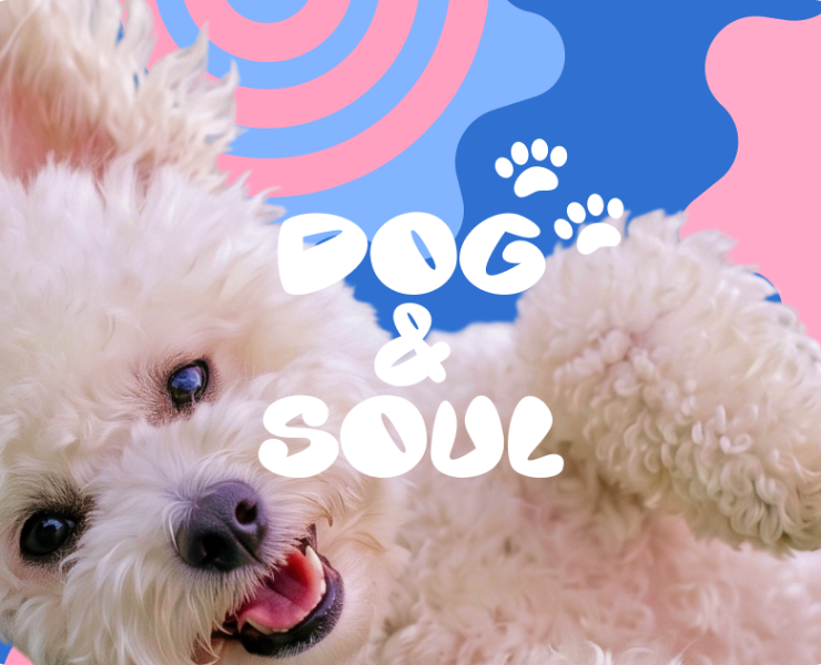 Online store "Dog&Soul" | E-commerce | UX/UI design — Интерфейсы на Dprofile