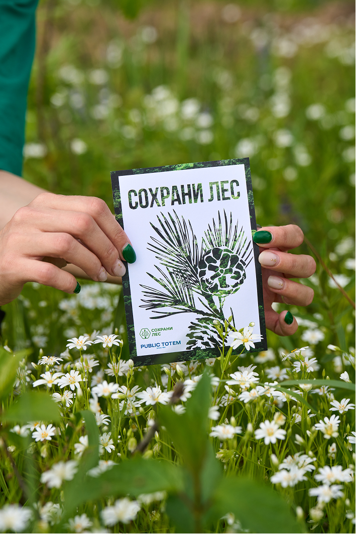 Эко-набор для проекта "СОХРАНИ ЛЕС" — Изображение №6 — Брендинг на Dprofile