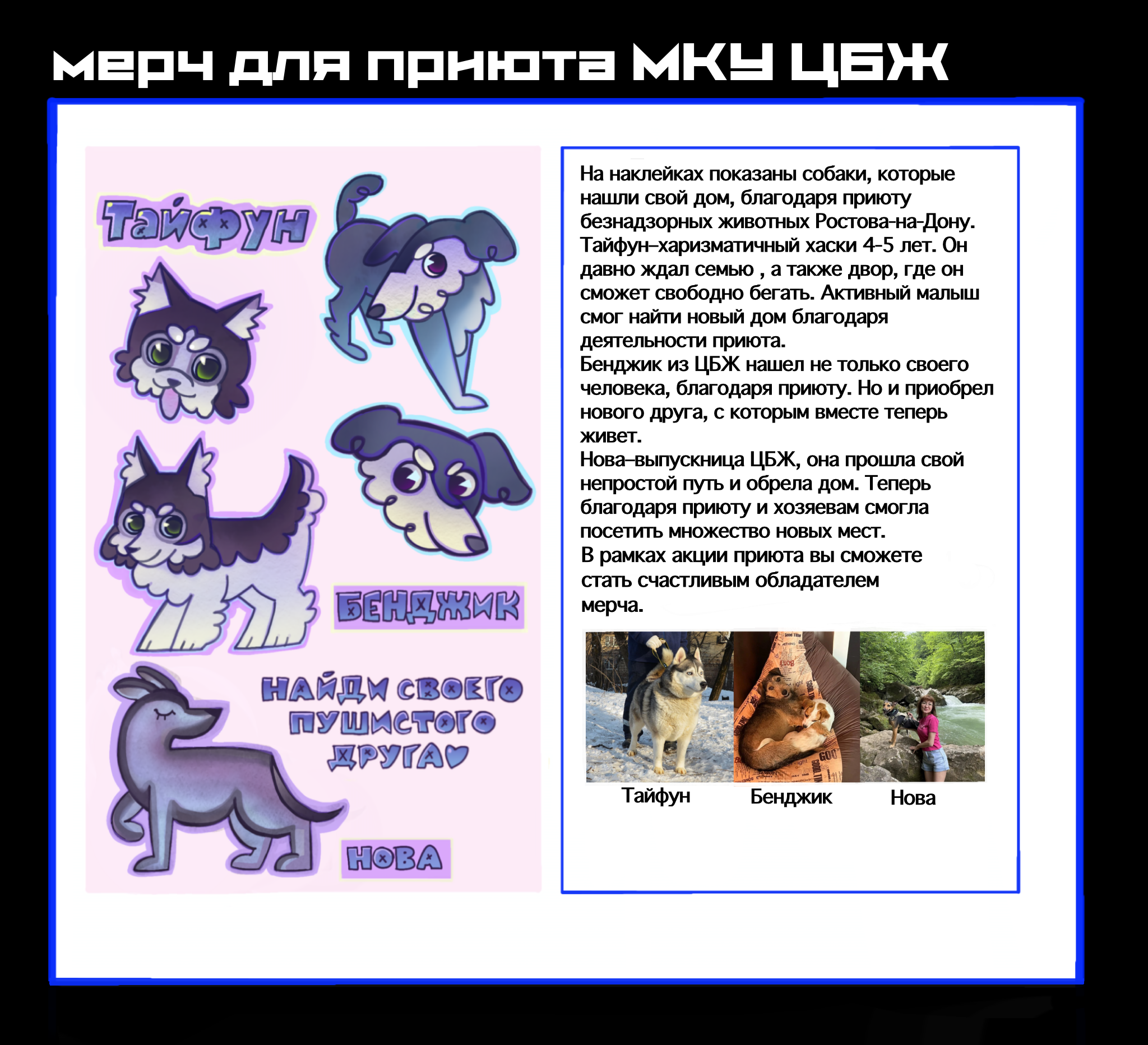 Ростовский приют (МКУ ЦБЖ) — Изображение №3 — Брендинг на Dprofile