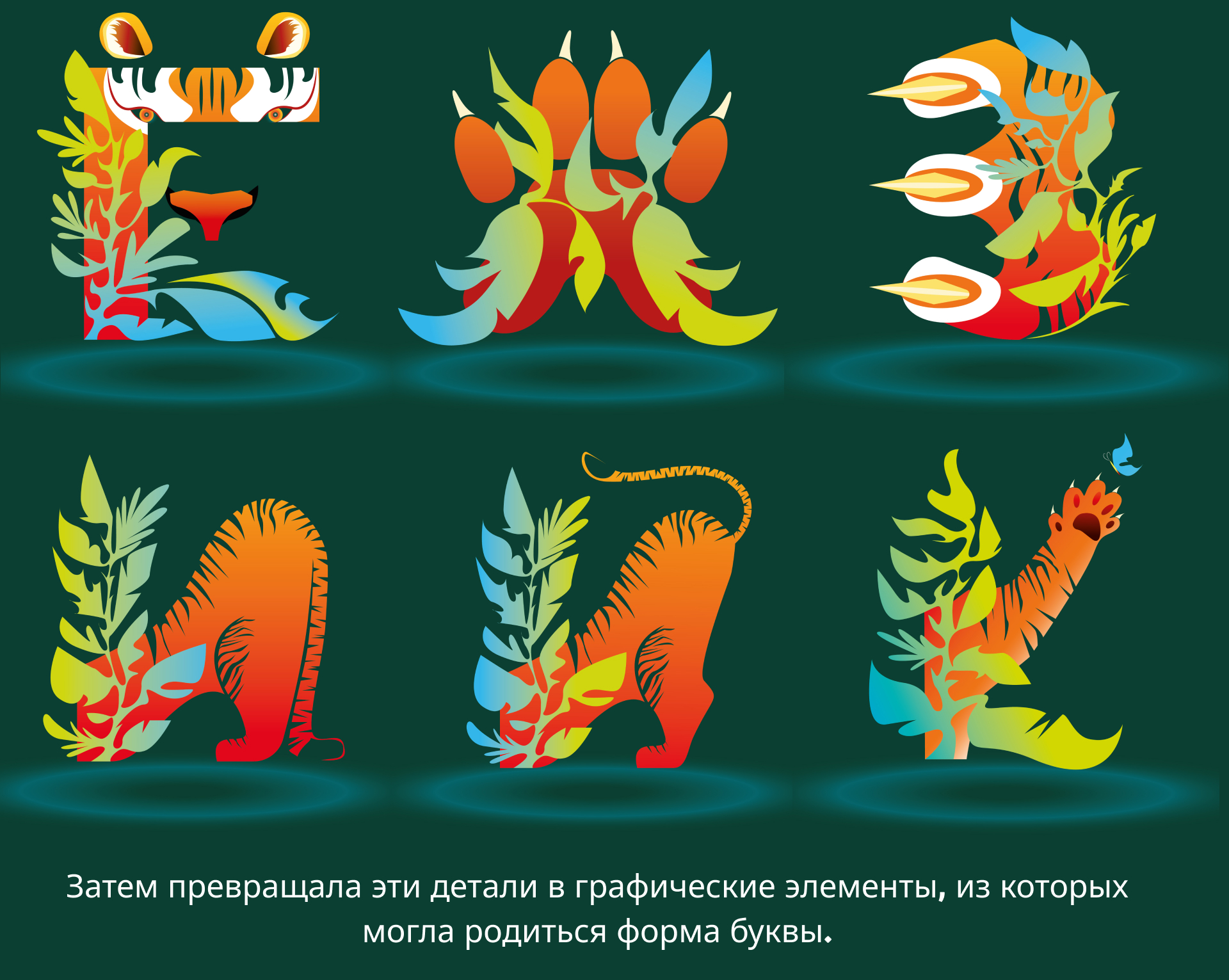 ТИГРИНЫЙ АЛФАВИТ - попробуй найти меня! — Изображение №6 — Иллюстрация, Графика на Dprofile