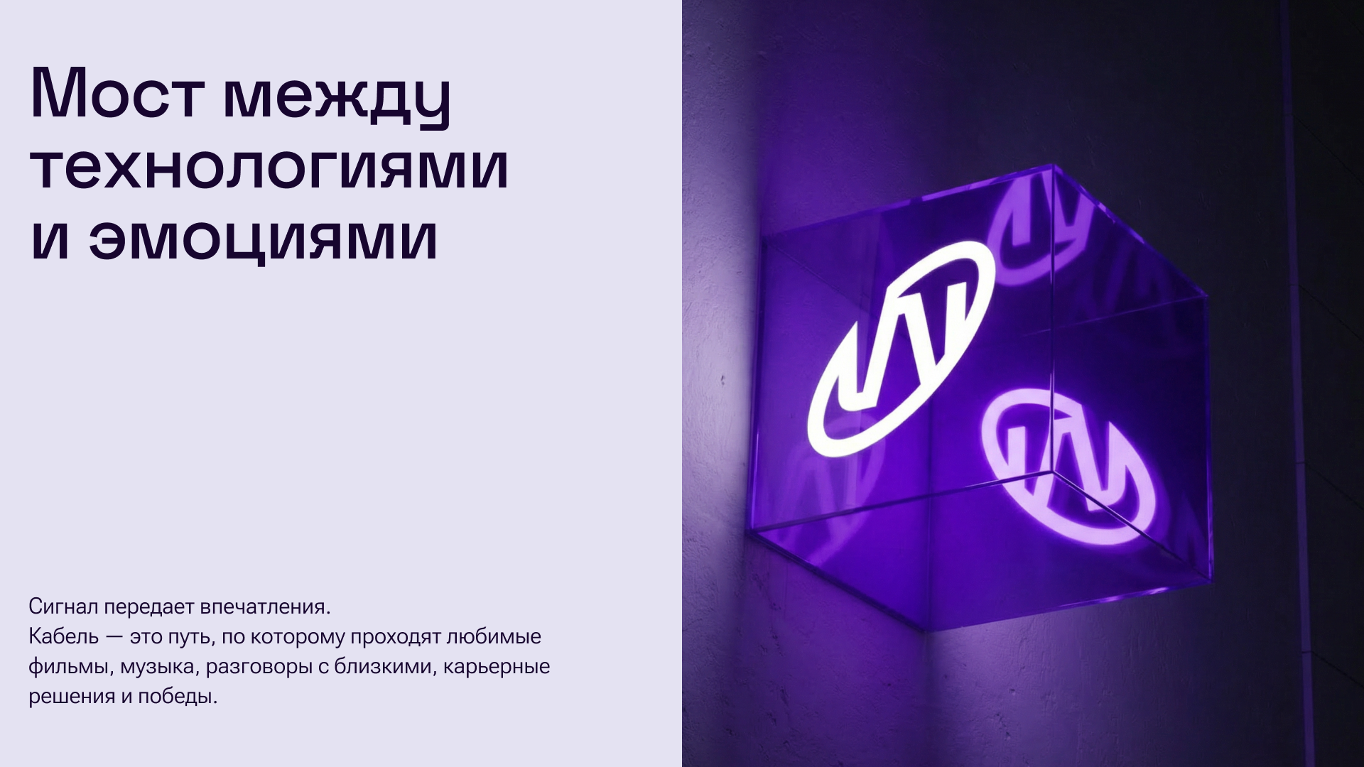 WOW-LAN: Бренд LAN-кабеля — Изображение №10 — Брендинг на Dprofile