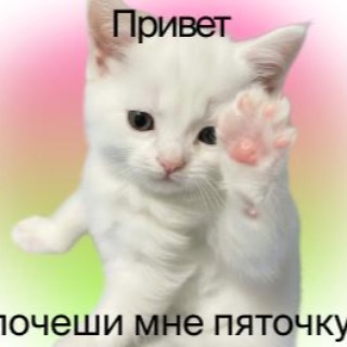 Аватар пользователя Доминика Исаева