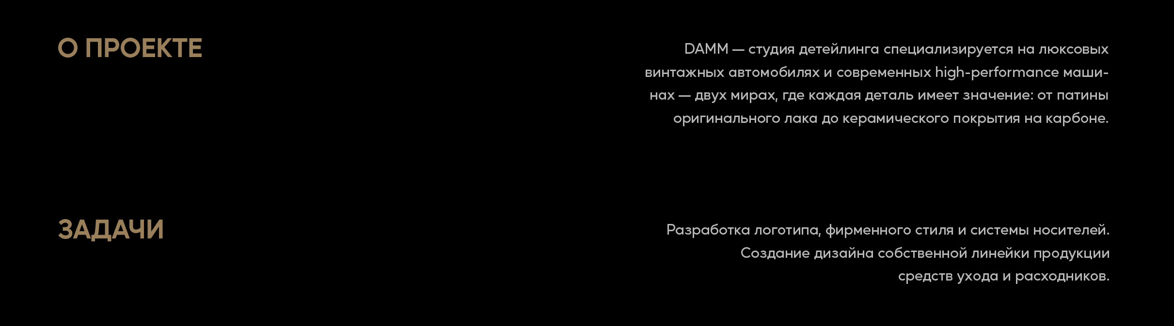 DAMM Detailing фирменный стиль — Изображение №2 — Брендинг на Dprofile