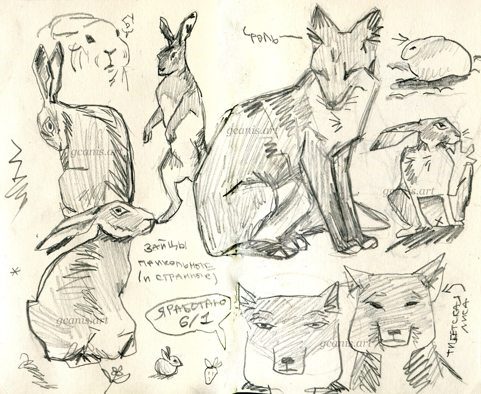 Anatomy & Animal Studies — Изображение №3 — Иллюстрация на Dprofile