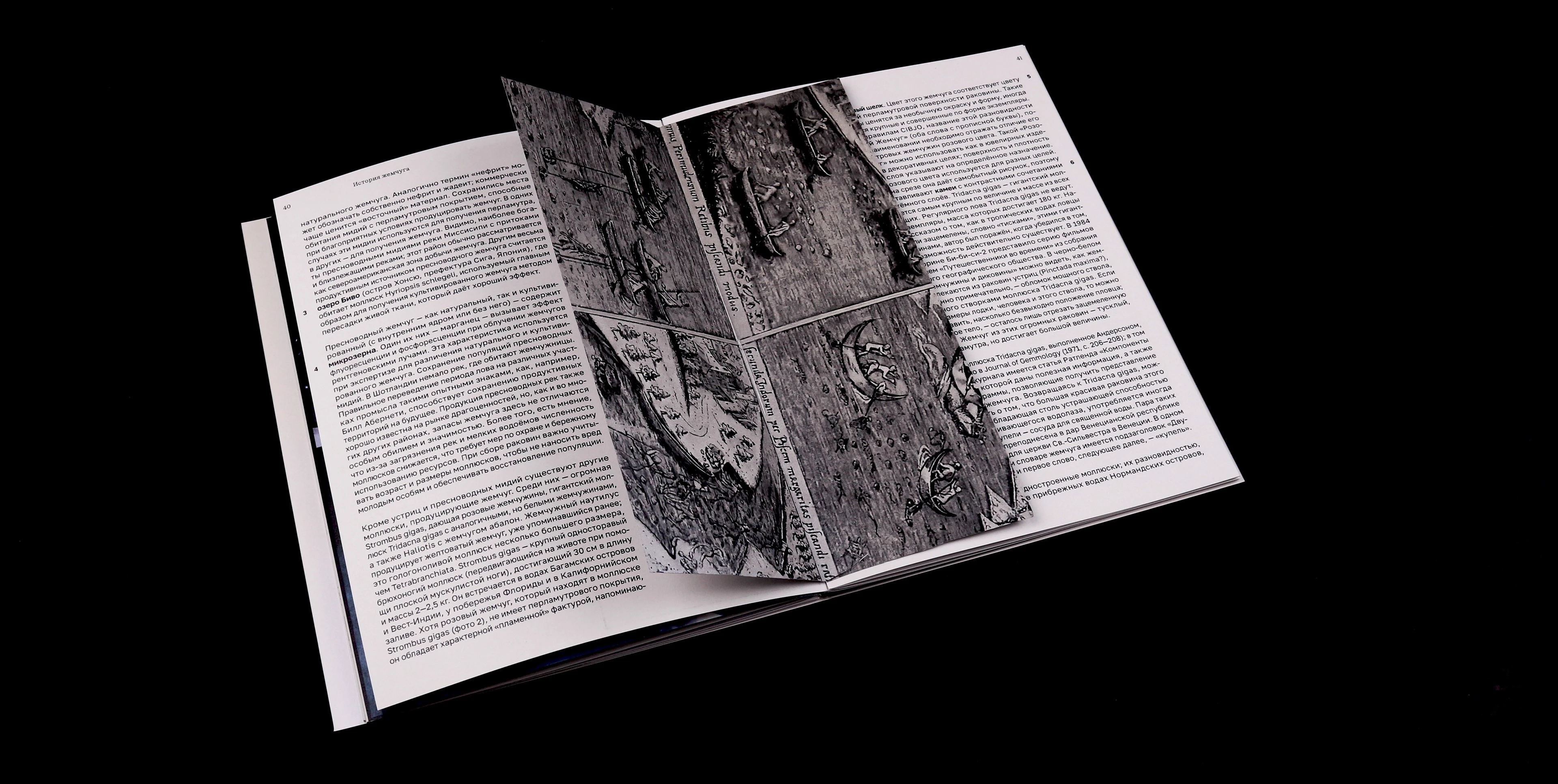 Жемчужный промысел. Сложноструктурная книга — Изображение №16 — Графика на Dprofile