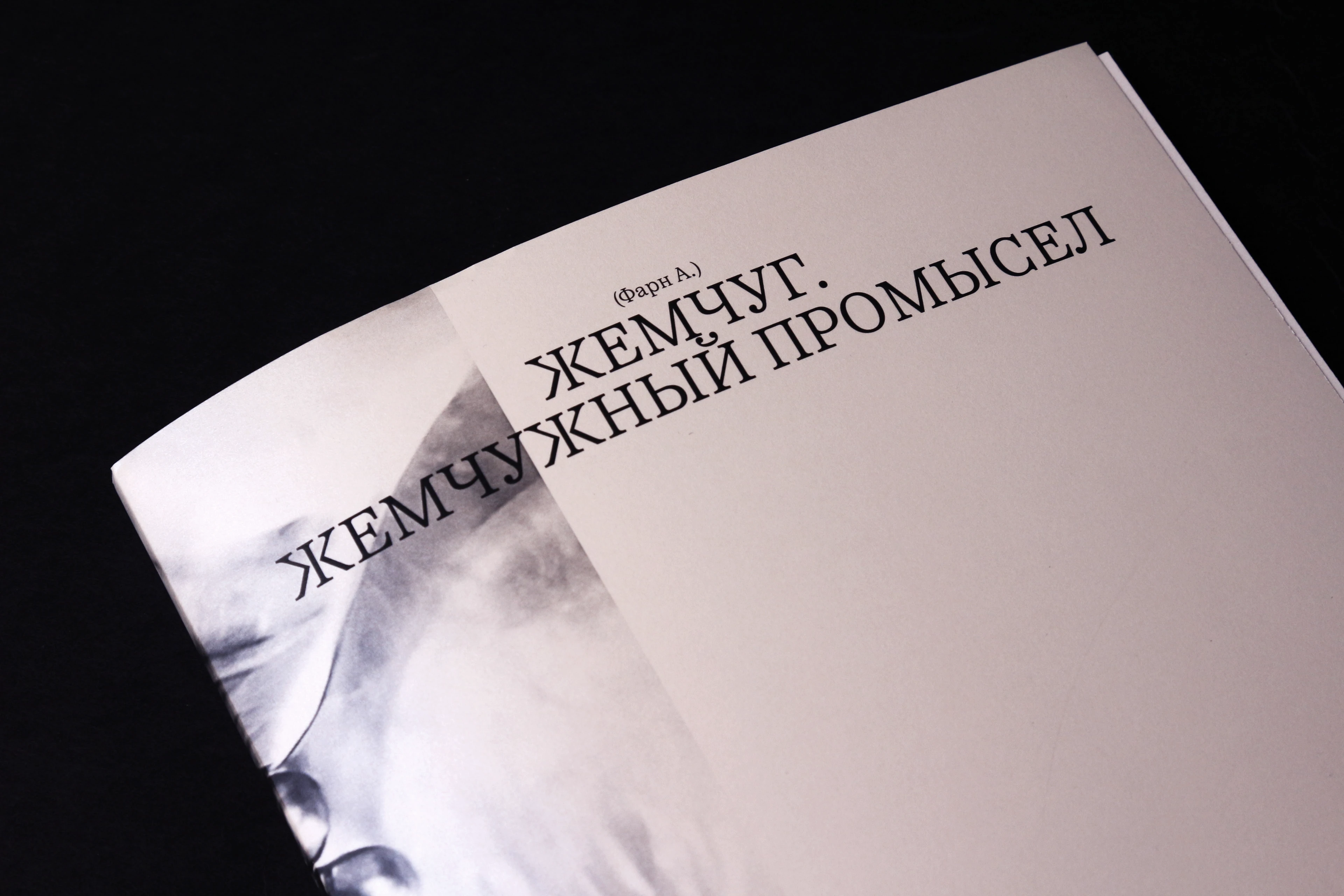 Жемчужный промысел. Сложноструктурная книга — Изображение №4 — Графика на Dprofile