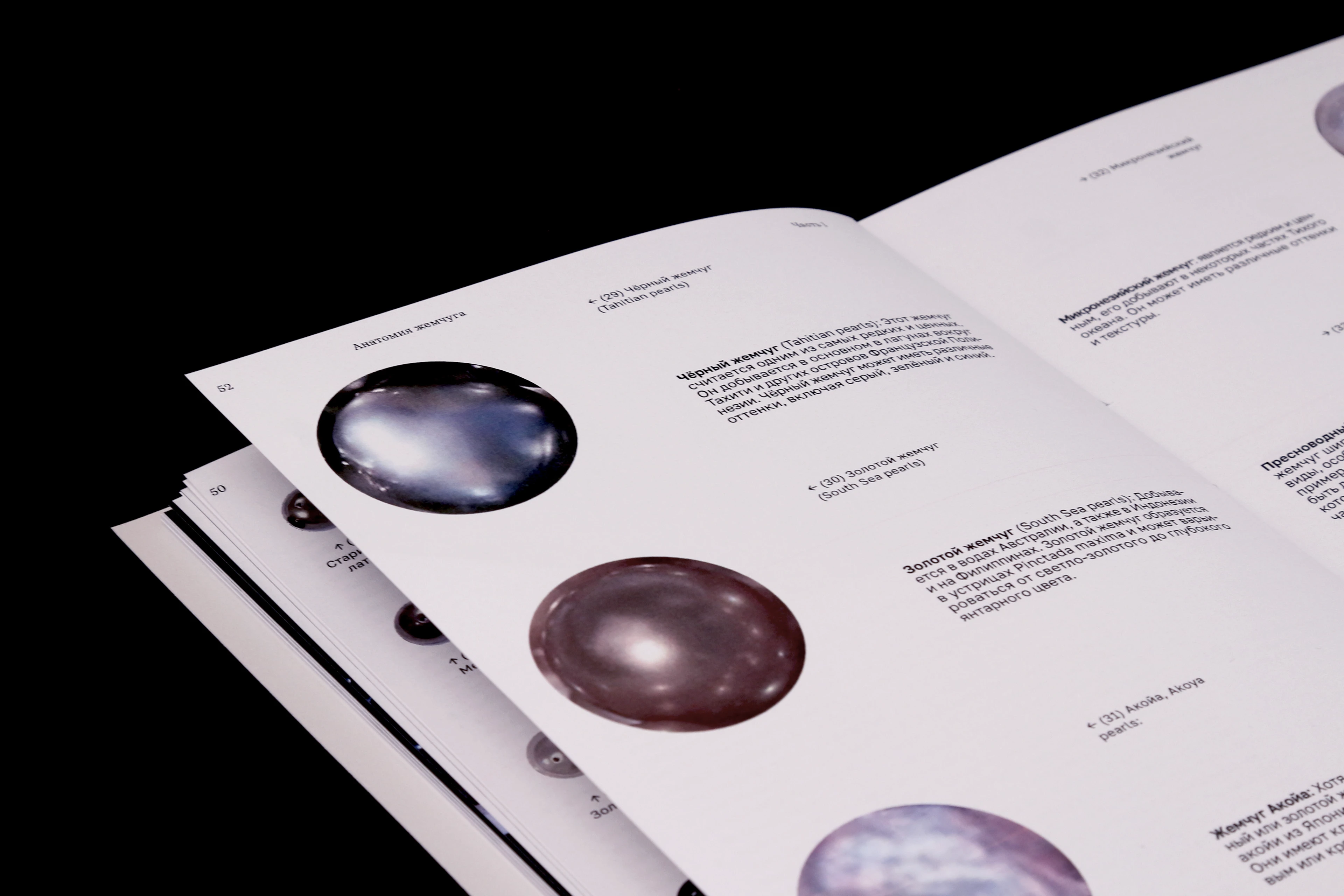 Жемчужный промысел. Сложноструктурная книга — Изображение №11 — Графика на Dprofile