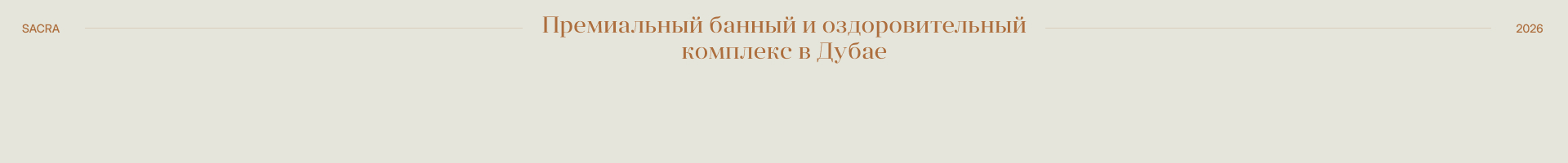 Sacra — Изображение №1 — Интерфейсы, Анимация на Dprofile