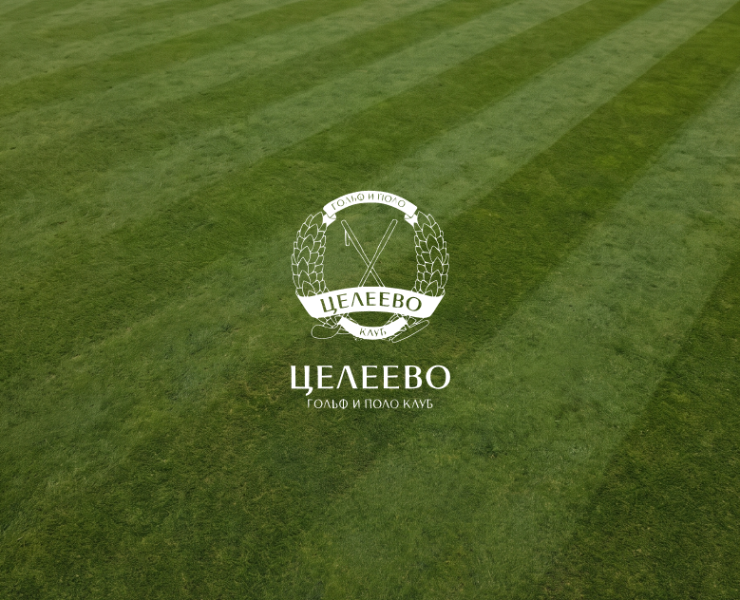 UX/UI-дизайн сайта премиального гольф-клуба — Интерфейсы, Брендинг на Dprofile