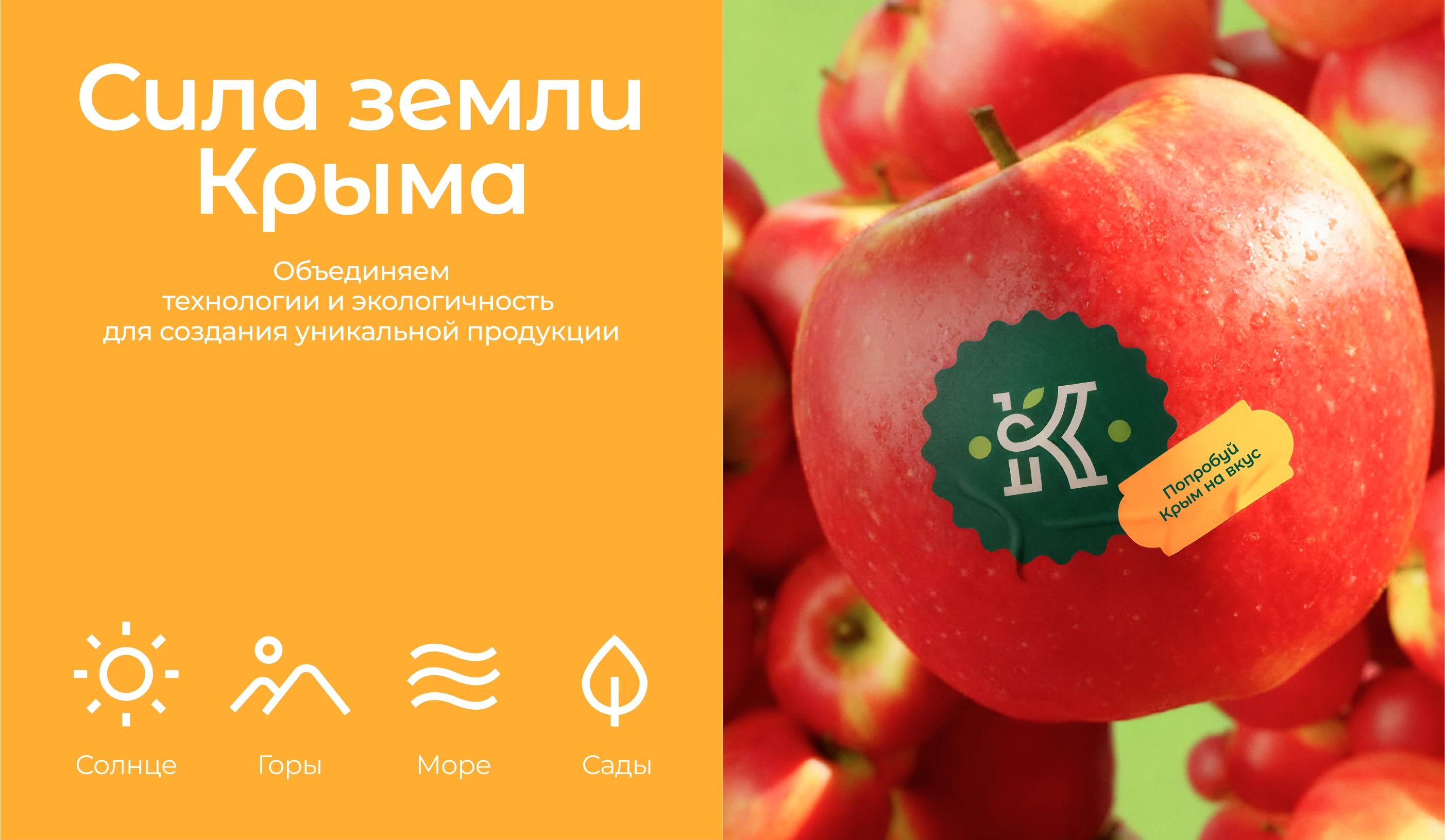 Урожай Крыма I Брендинг I Дизайн упаковки — Изображение №13 — Брендинг на Dprofile