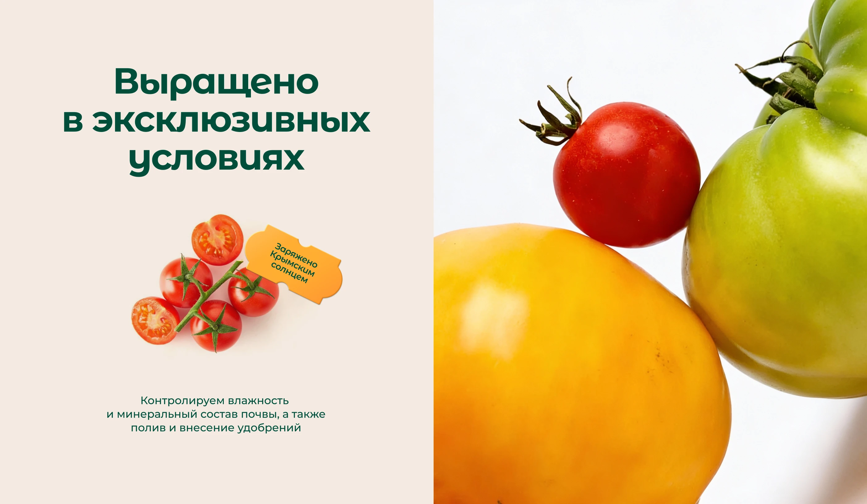 Урожай Крыма I Брендинг I Дизайн упаковки — Изображение №5 — Брендинг на Dprofile