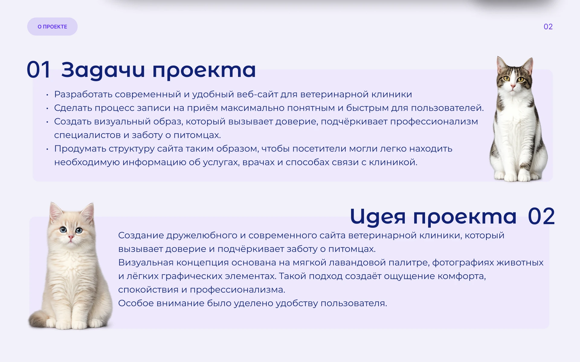 Cat Doctor | Veterinary Clinic Website | UI/UX Design — Изображение №2 — Интерфейсы на Dprofile