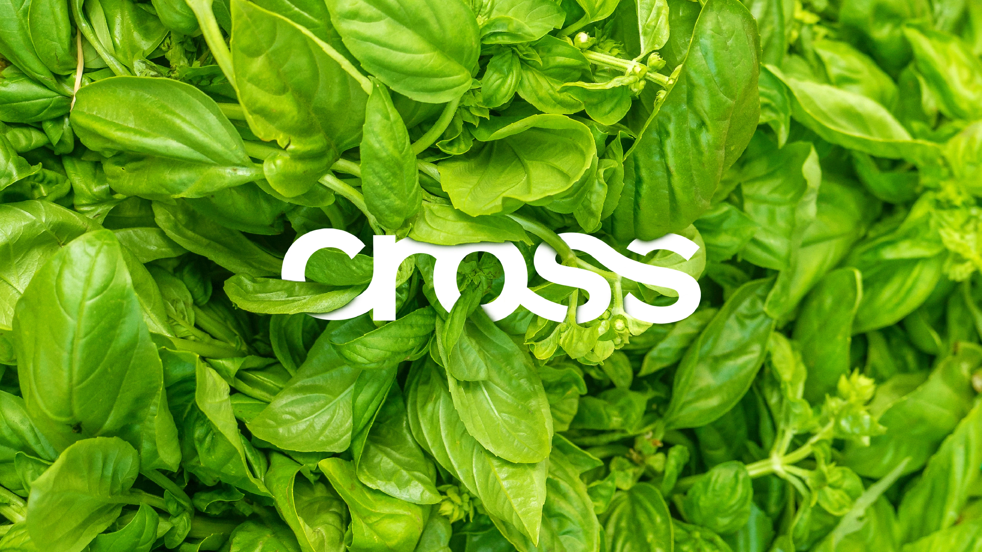 Cross. Логотип, фирменный стиль. — Изображение №1 — Брендинг, Графика на Dprofile