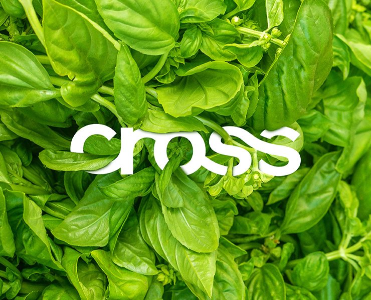 Cross. Логотип, фирменный стиль. — Брендинг, Графика на Dprofile