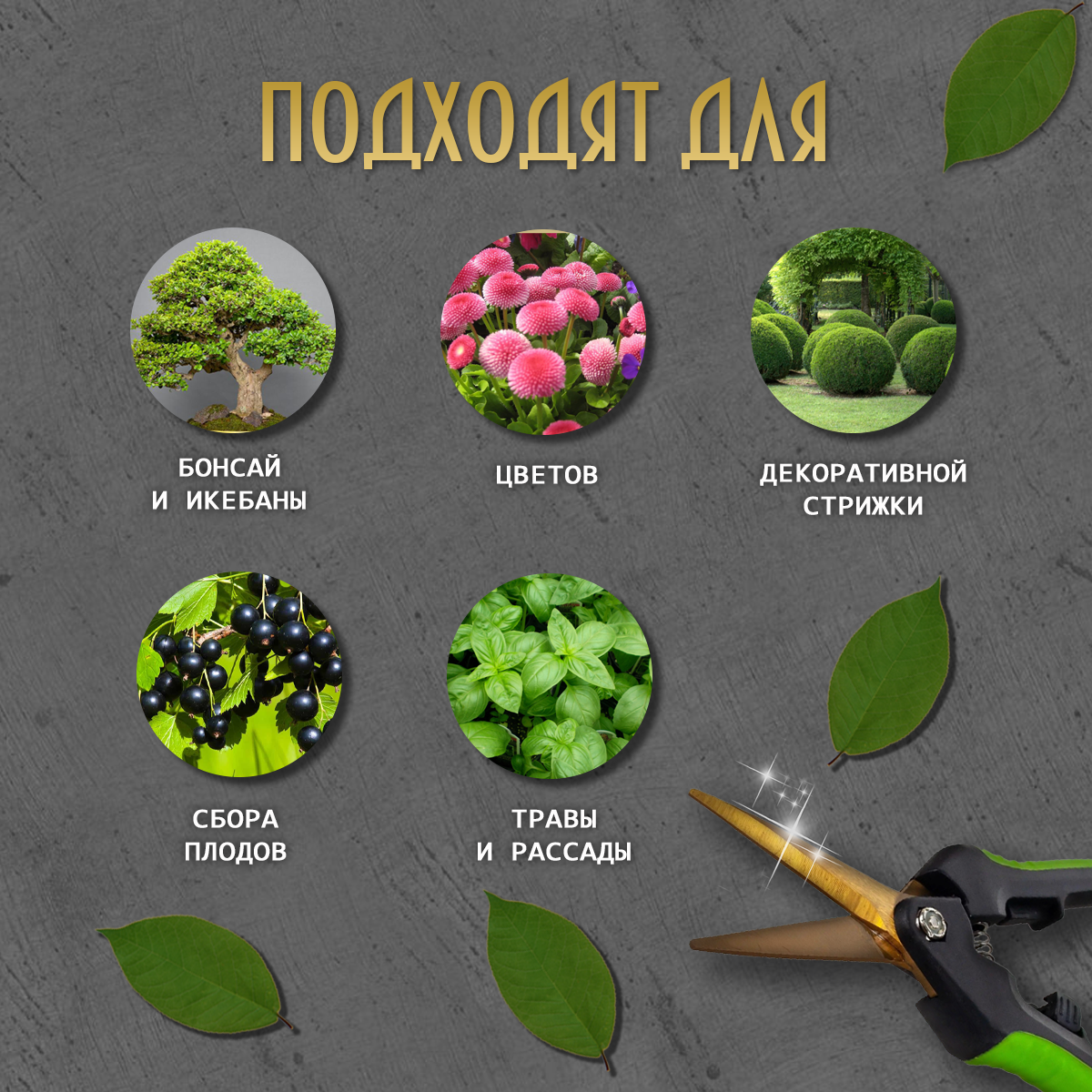 Инфографика карточки товара для маркеплейсов — Изображение №5 — Графика, Маркетинг на Dprofile