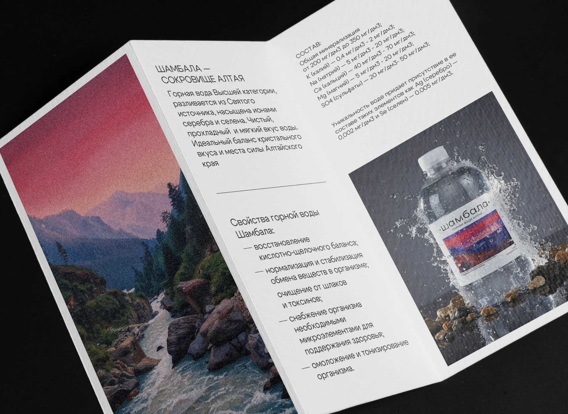 SHAMBALA — брендинг и упаковка премиальной воды — Изображение №11 — Брендинг на Dprofile