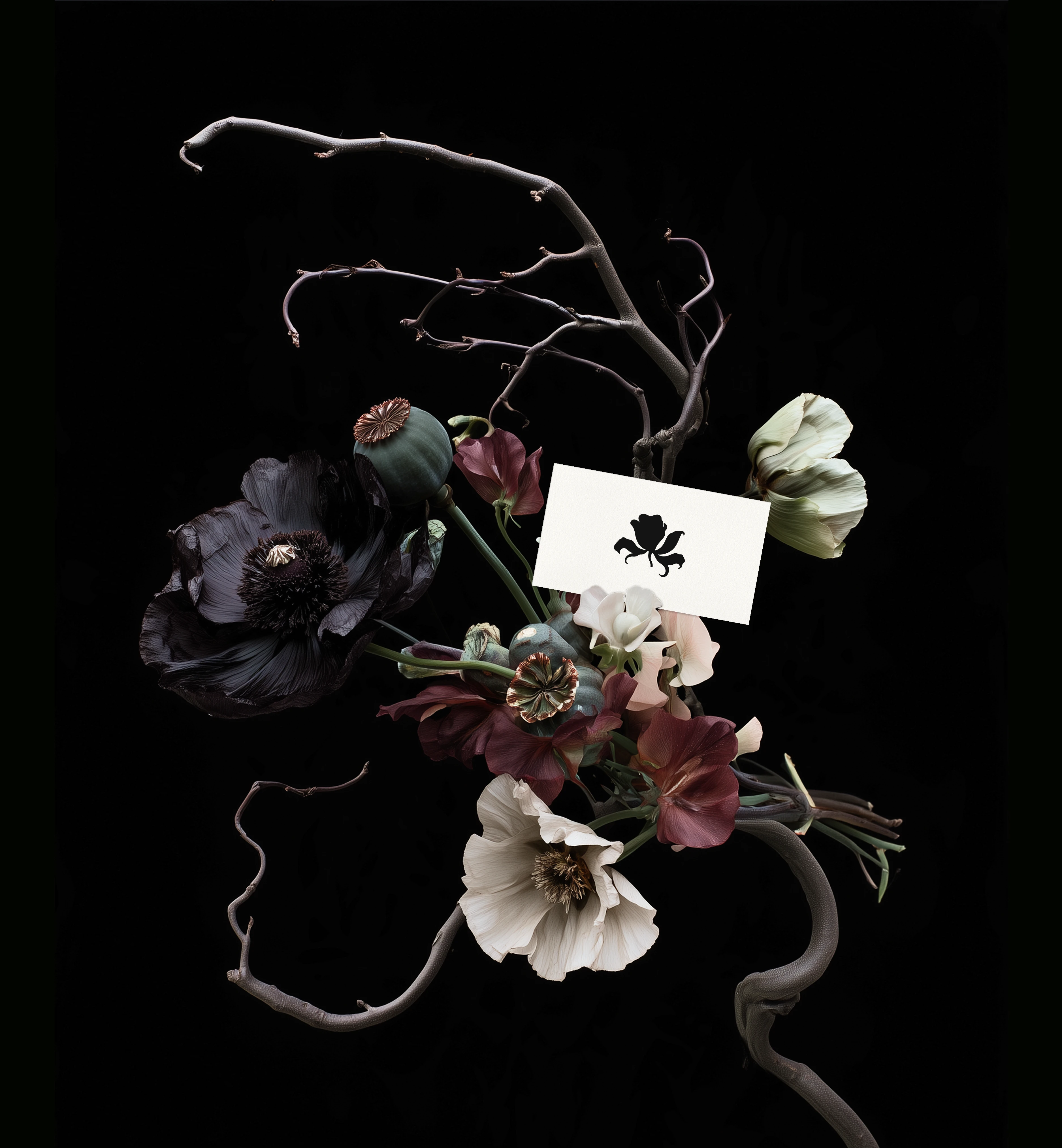 SPECIMEN — Botanical Archive — Изображение №7 — Брендинг, Нейро на Dprofile