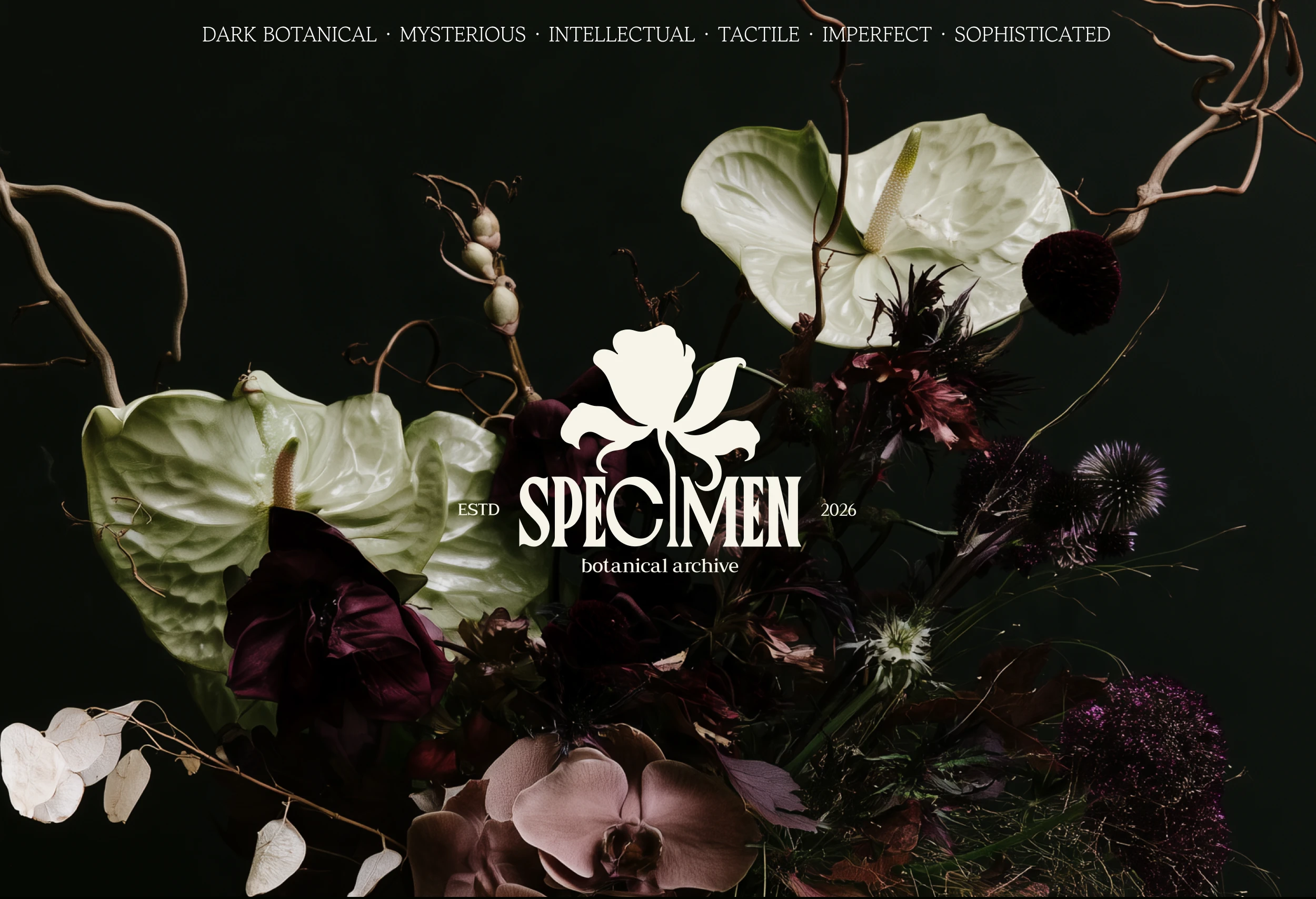 SPECIMEN — Botanical Archive — Изображение №1 — Брендинг, Нейро на Dprofile