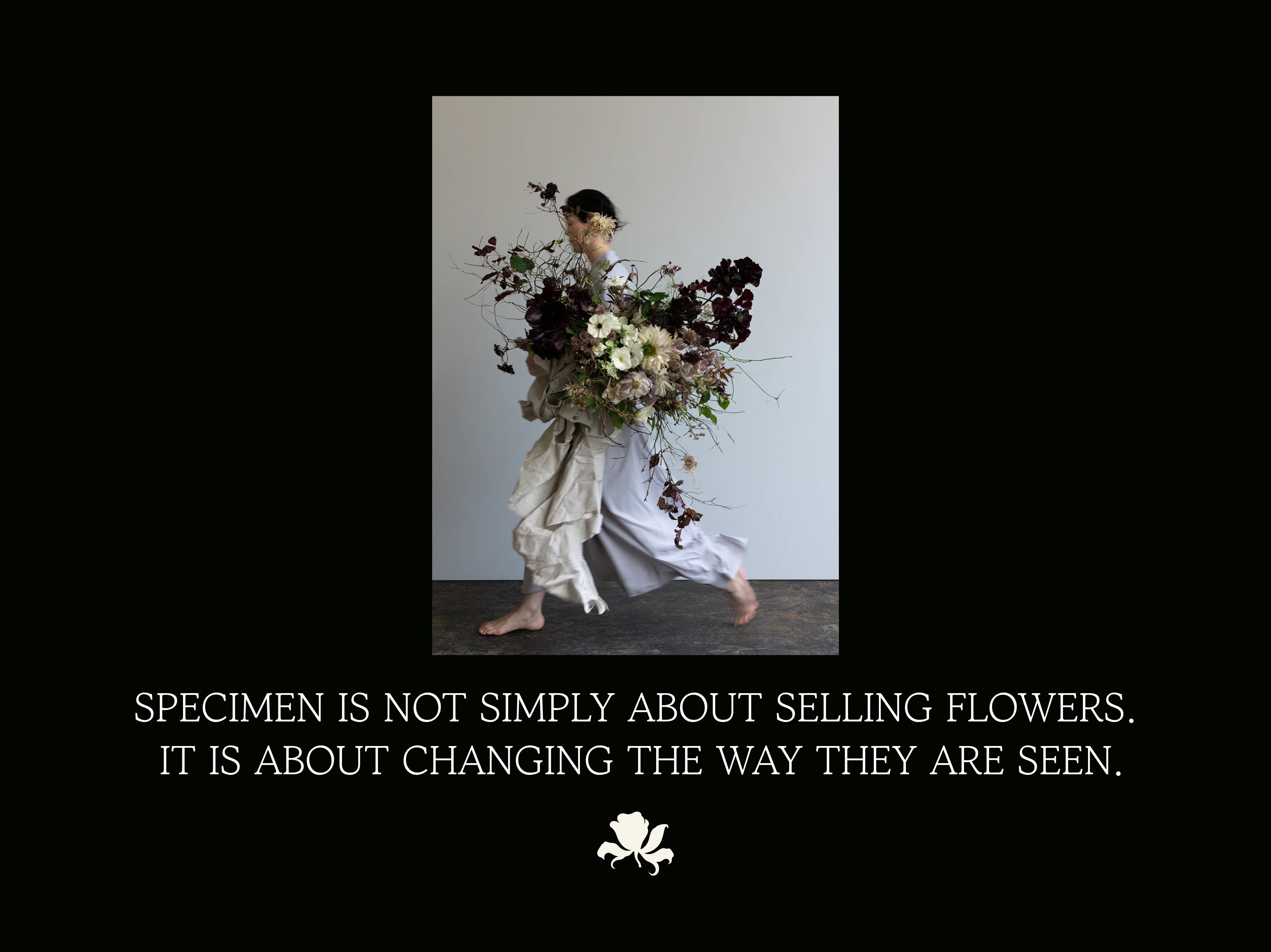 SPECIMEN — Botanical Archive — Изображение №10 — Брендинг, Нейро на Dprofile
