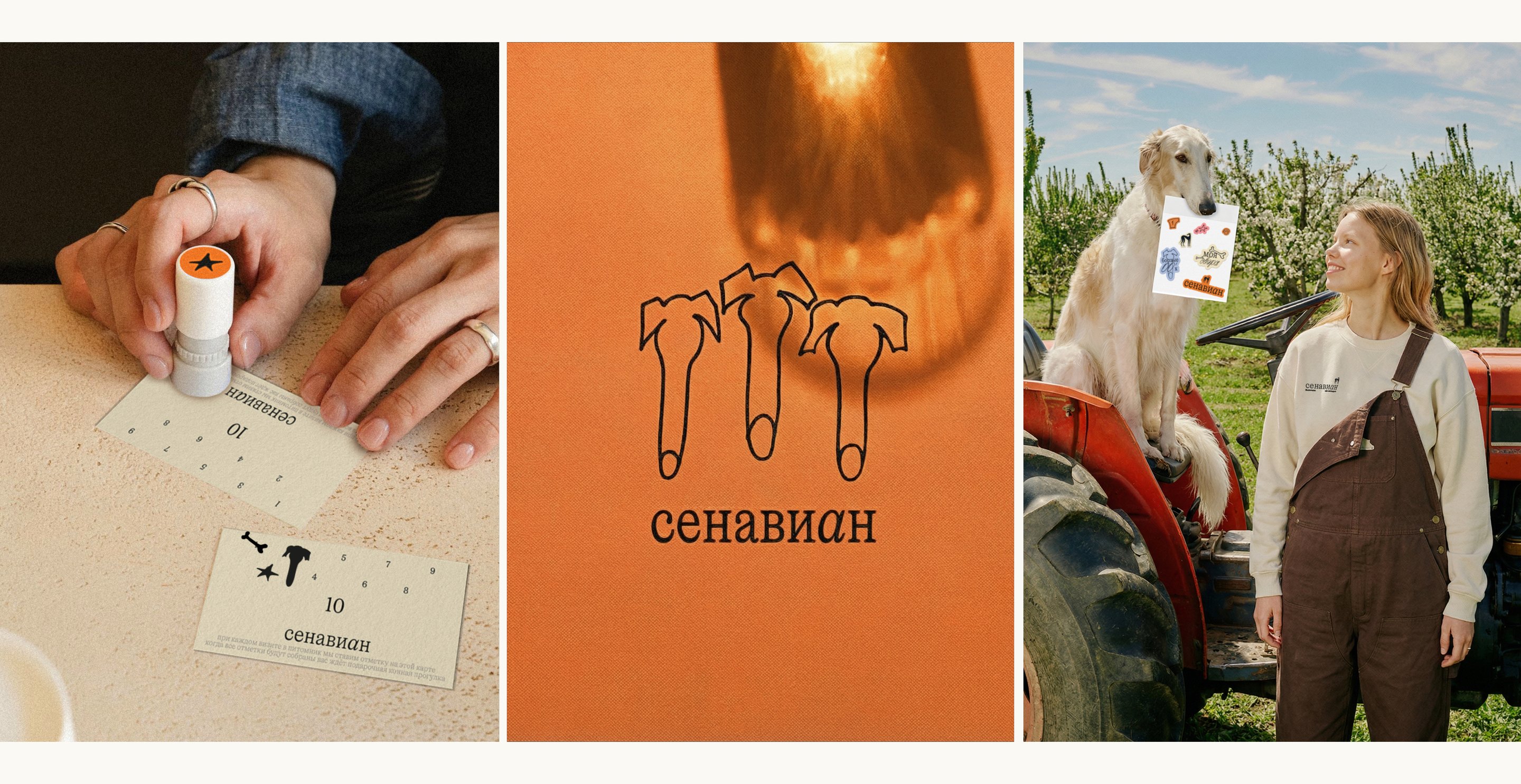 питомник Сенавиан — Изображение №5 — Брендинг на Dprofile