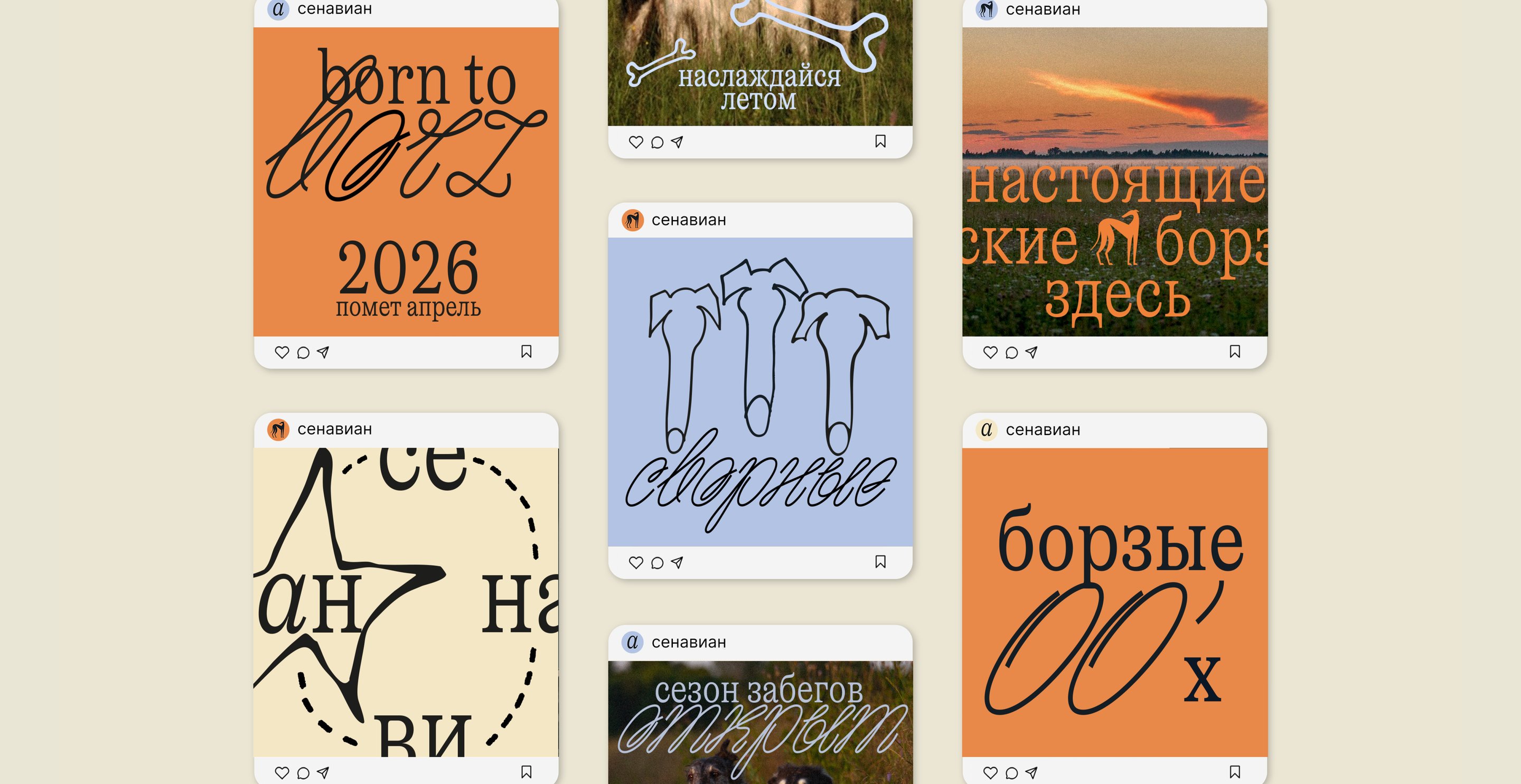 питомник Сенавиан — Изображение №22 — Брендинг на Dprofile