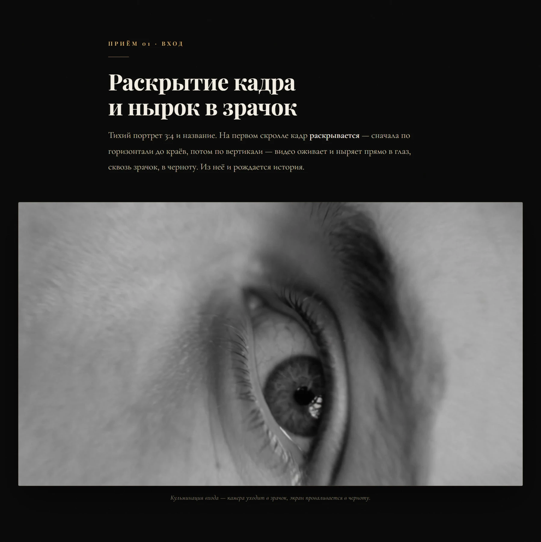 Интерактивный скроллителлинг по мотивам мемуаров Фила Найта… — Изображение №3 — Интерфейсы, Брендинг на Dprofile