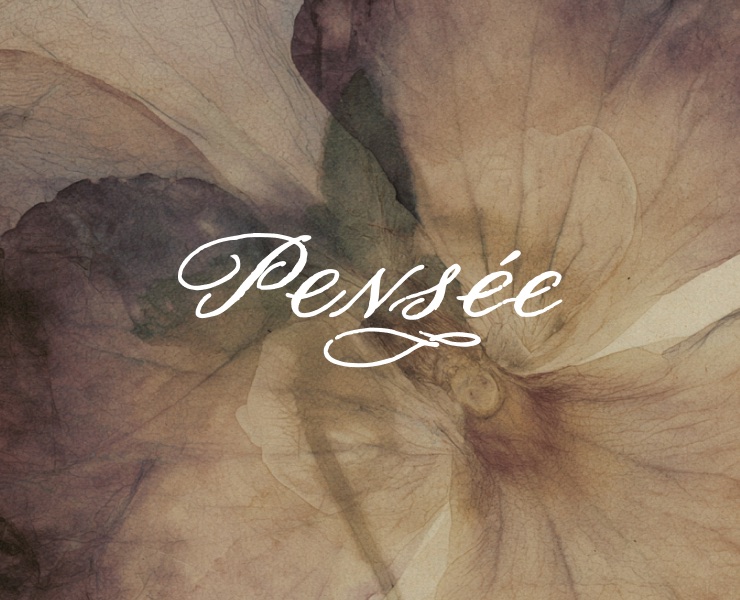 PENSÉE — Брендинг, Нейро на Dprofile