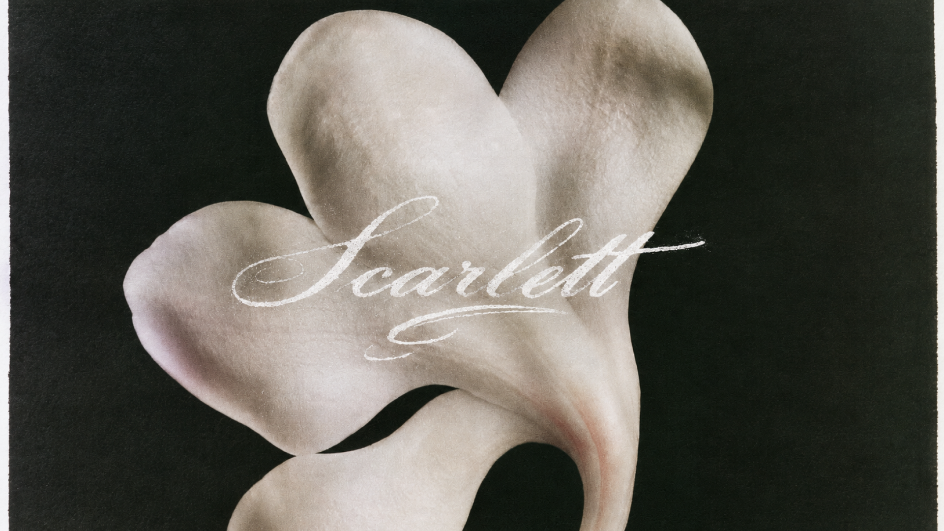 Scarlett — Изображение №1 — Брендинг на Dprofile