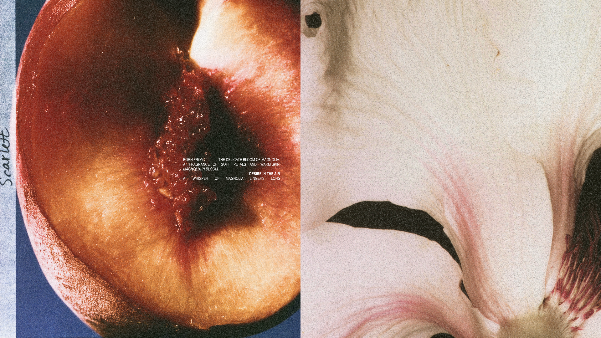 Scarlett — Изображение №9 — Брендинг на Dprofile