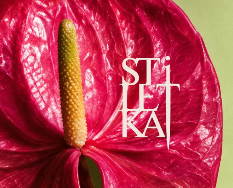 STILETKA — айдентика и упаковка для бренда украшений — Брендинг на Dprofile
