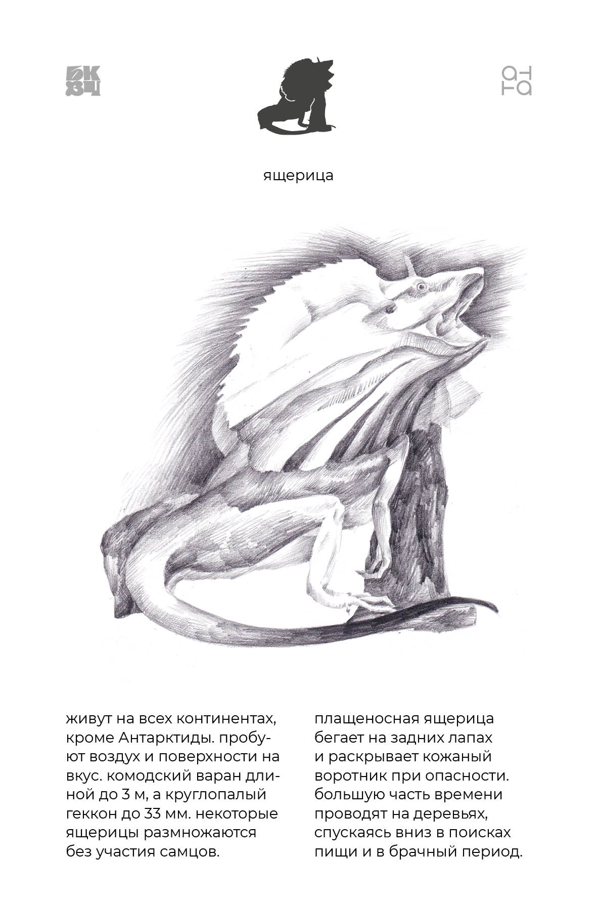 Царство Животные для БКВЧ — Изображение №143 — Иллюстрация, Графика на Dprofile