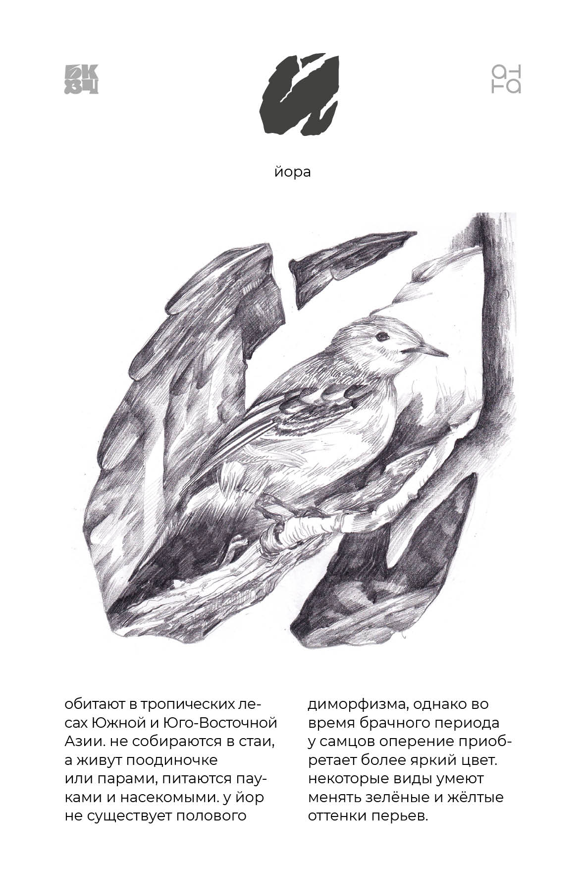 Царство Животные для БКВЧ — Изображение №126 — Иллюстрация, Графика на Dprofile