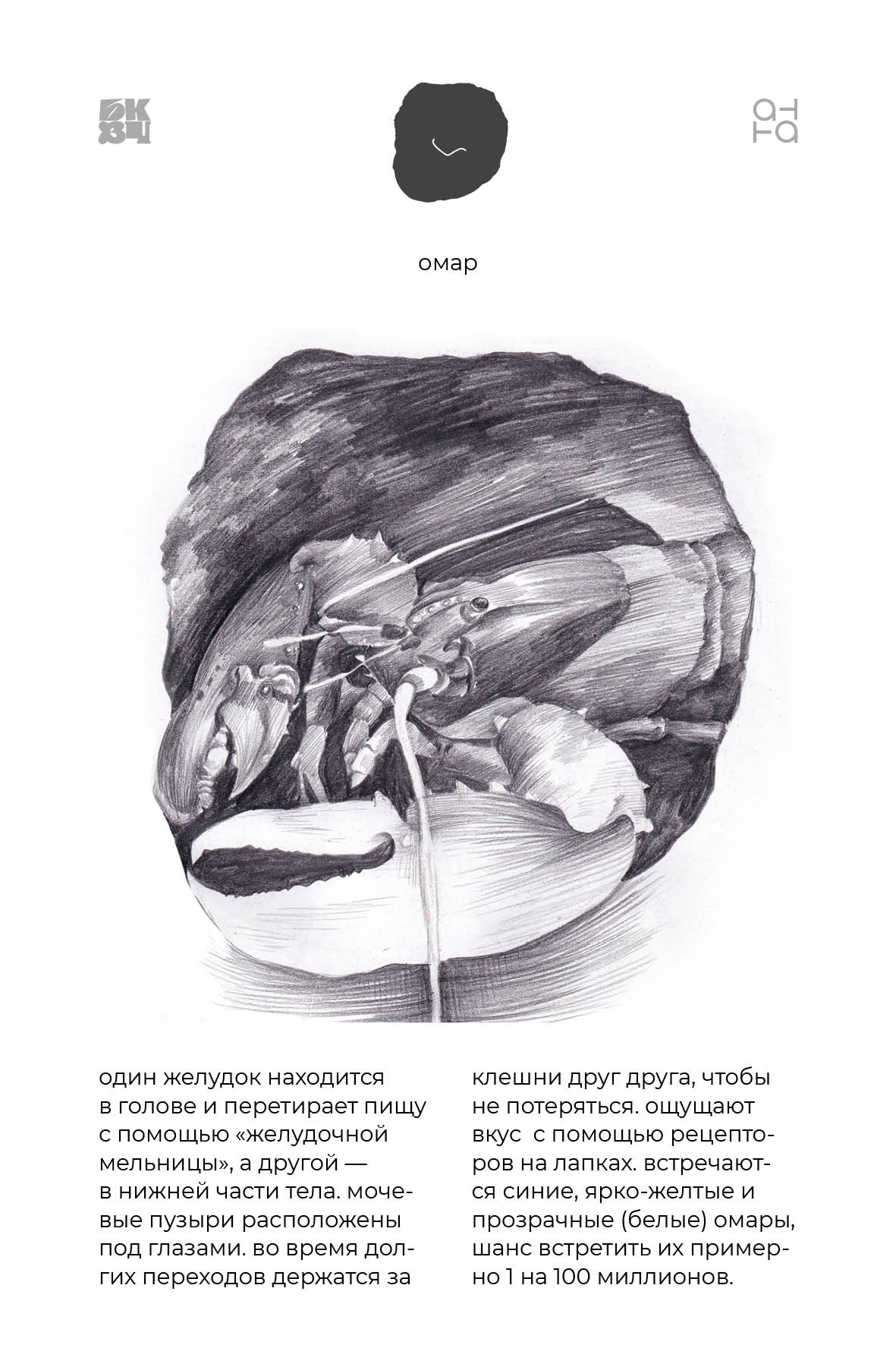 Царство Животные для БКВЧ — Изображение №79 — Иллюстрация, Графика на Dprofile