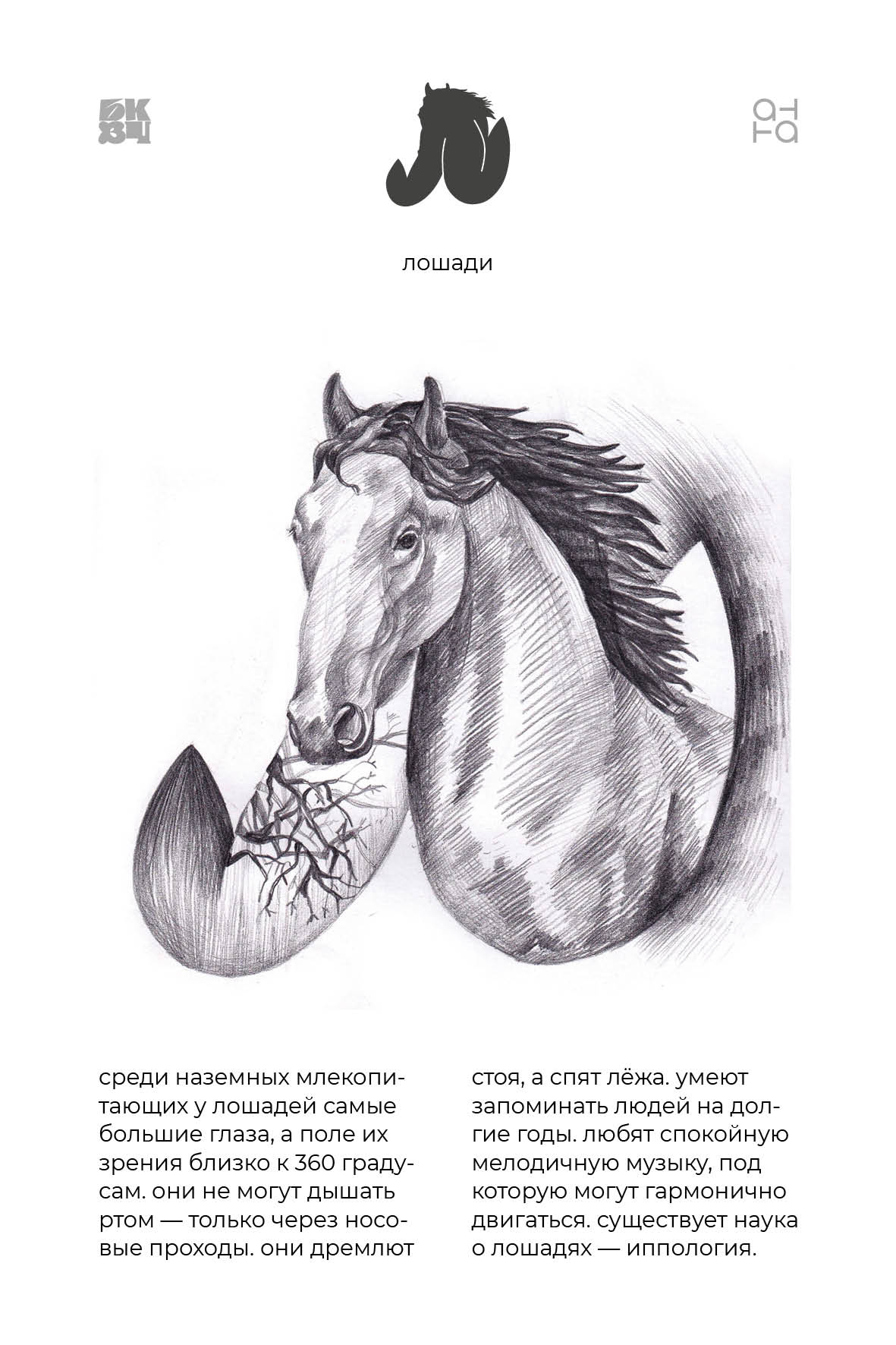 Царство Животные для БКВЧ — Изображение №128 — Иллюстрация, Графика на Dprofile