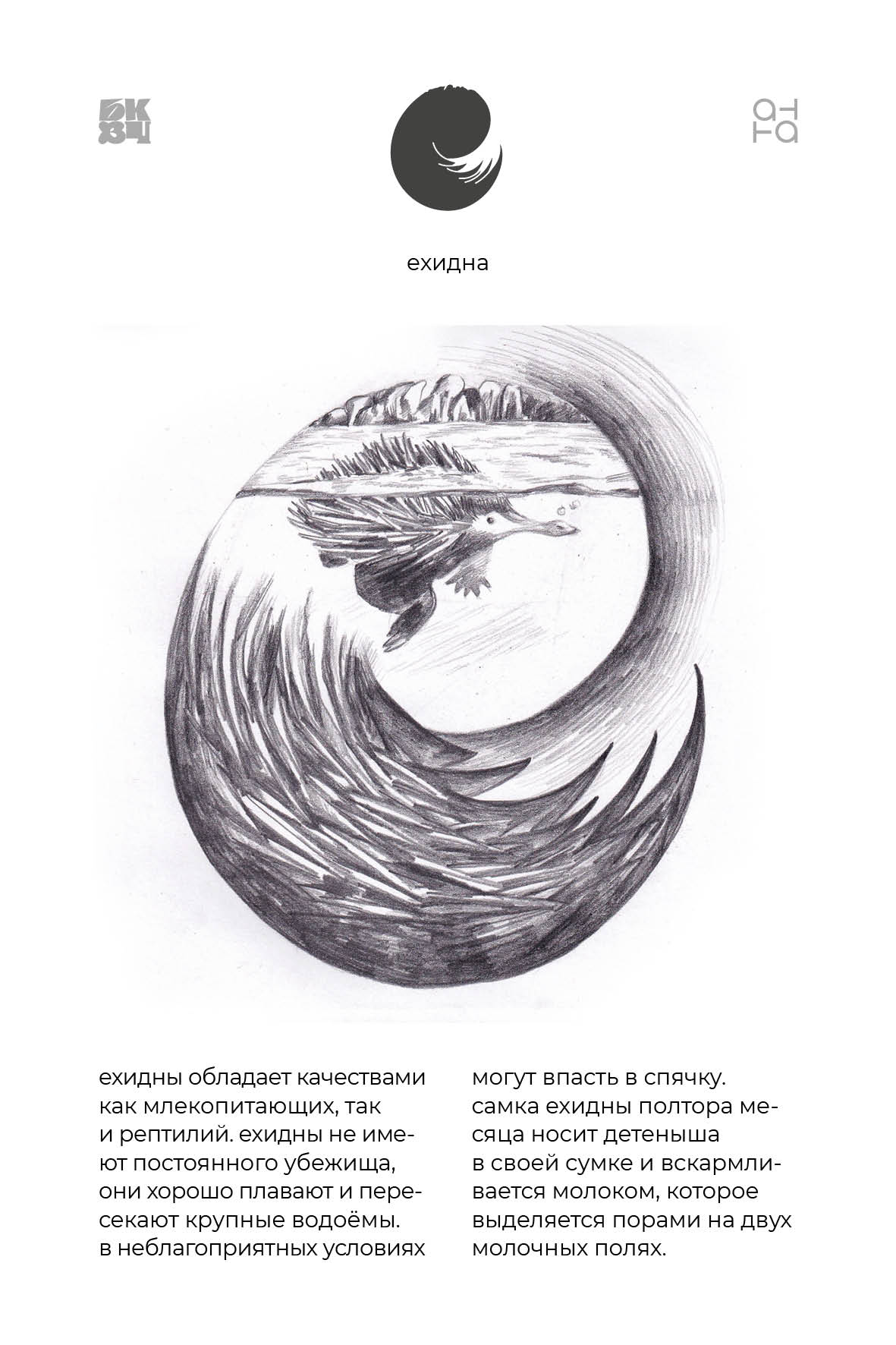 Царство Животные для БКВЧ — Изображение №114 — Иллюстрация, Графика на Dprofile