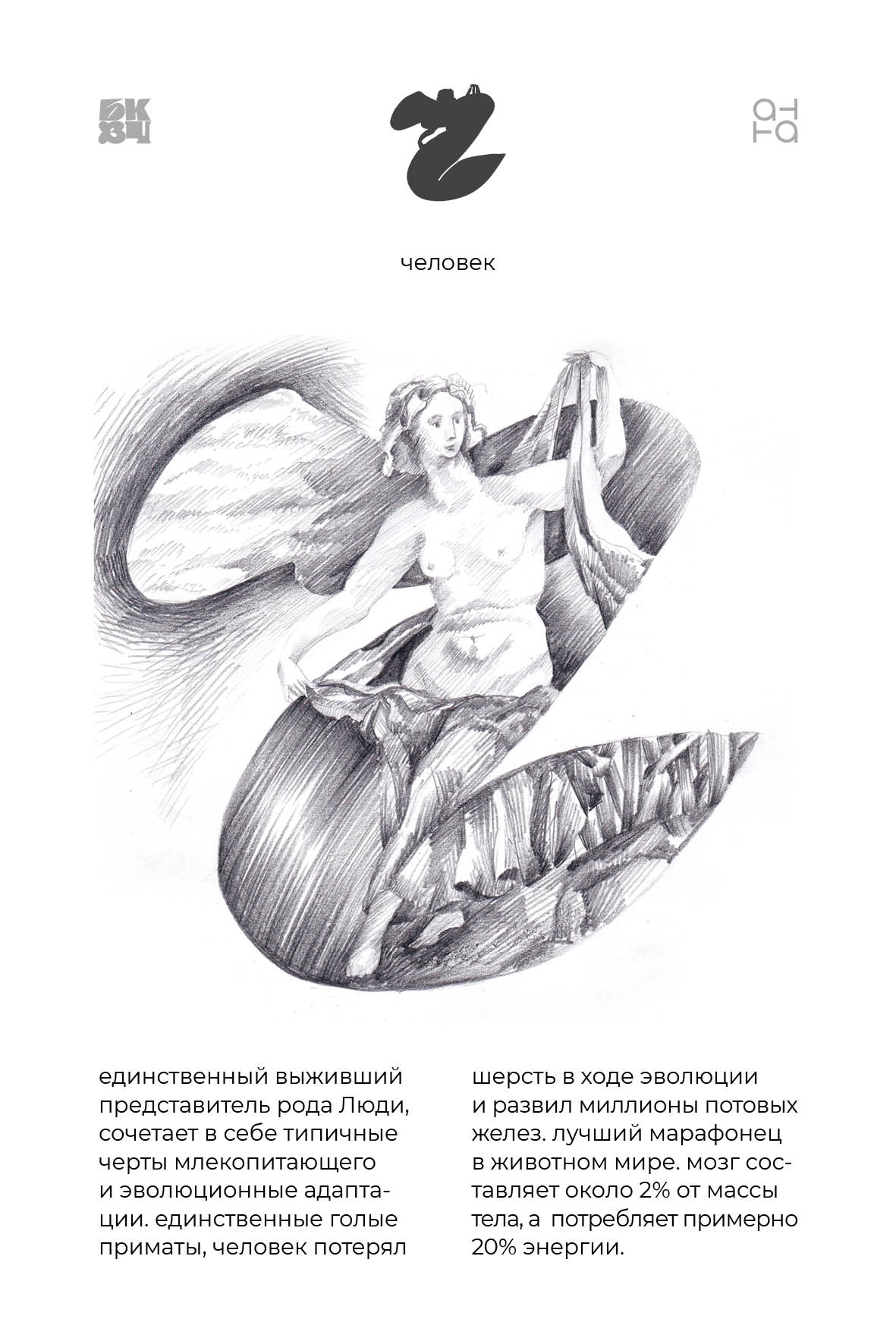 Царство Животные для БКВЧ — Изображение №133 — Иллюстрация, Графика на Dprofile