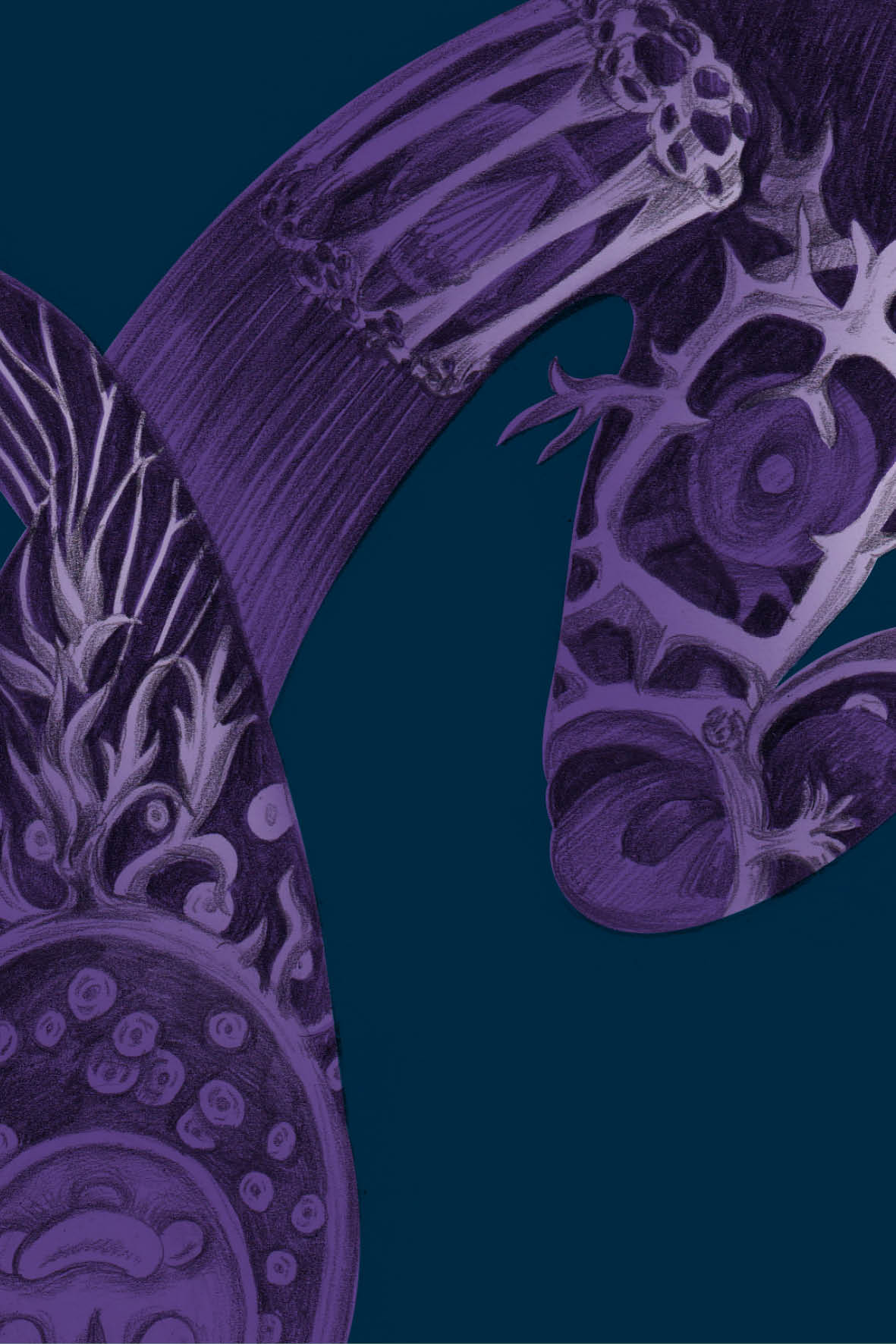 Царство Животные для БКВЧ — Изображение №37 — Иллюстрация, Графика на Dprofile