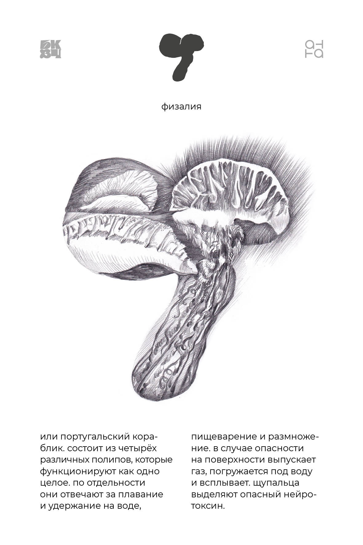 Царство Животные для БКВЧ — Изображение №51 — Иллюстрация, Графика на Dprofile