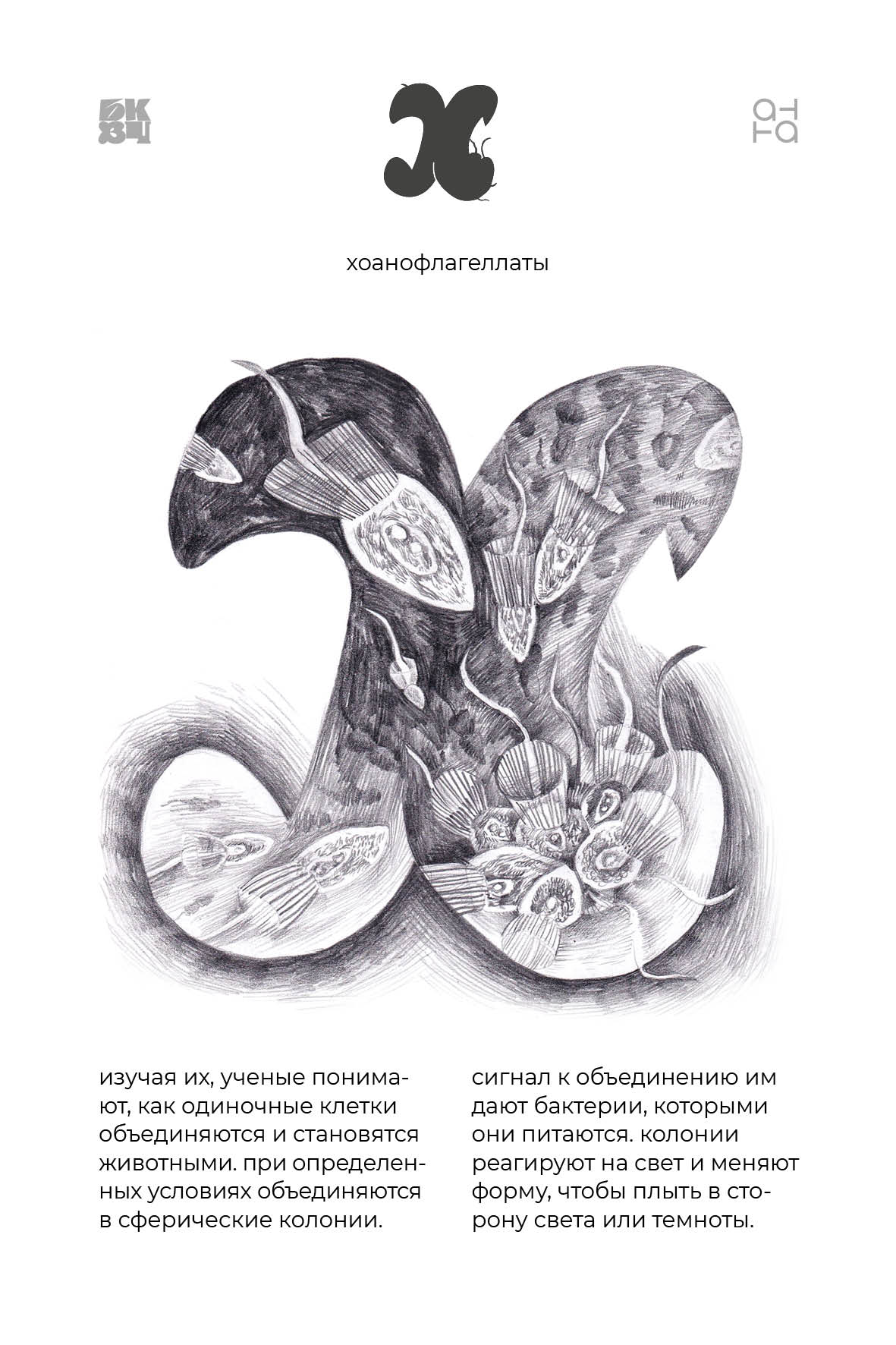 Царство Животные для БКВЧ — Изображение №34 — Иллюстрация, Графика на Dprofile