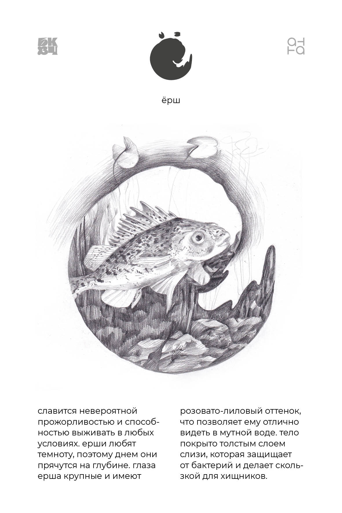 Царство Животные для БКВЧ — Изображение №116 — Иллюстрация, Графика на Dprofile