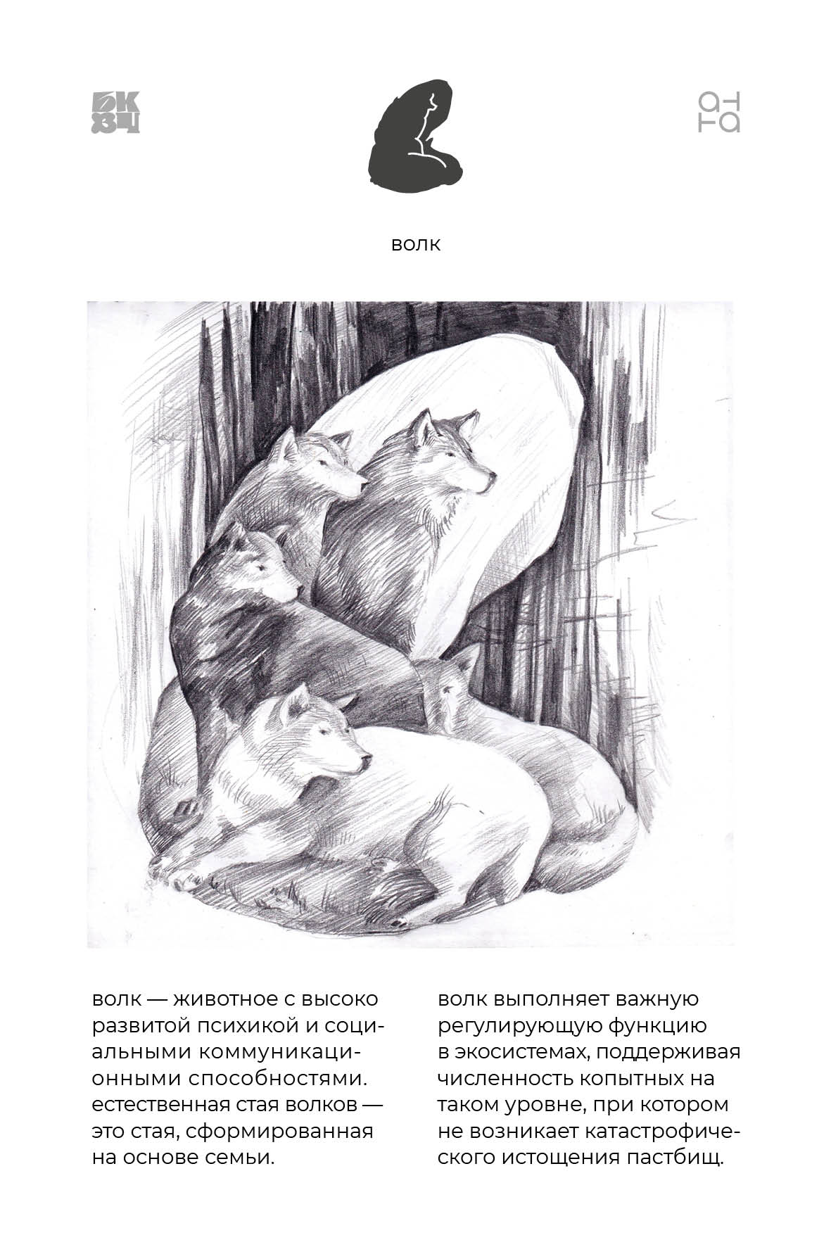 Царство Животные для БКВЧ — Изображение №104 — Иллюстрация, Графика на Dprofile