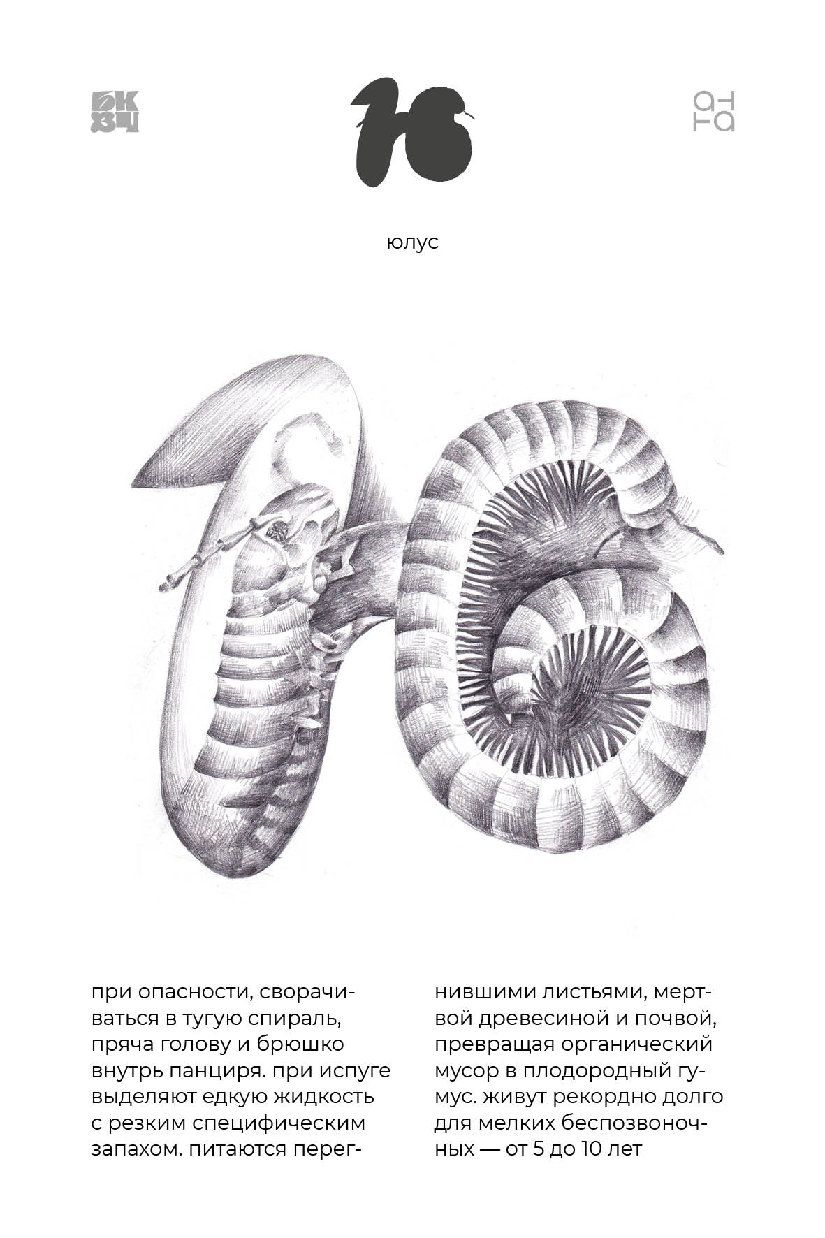 Царство Животные для БКВЧ — Изображение №81 — Иллюстрация, Графика на Dprofile