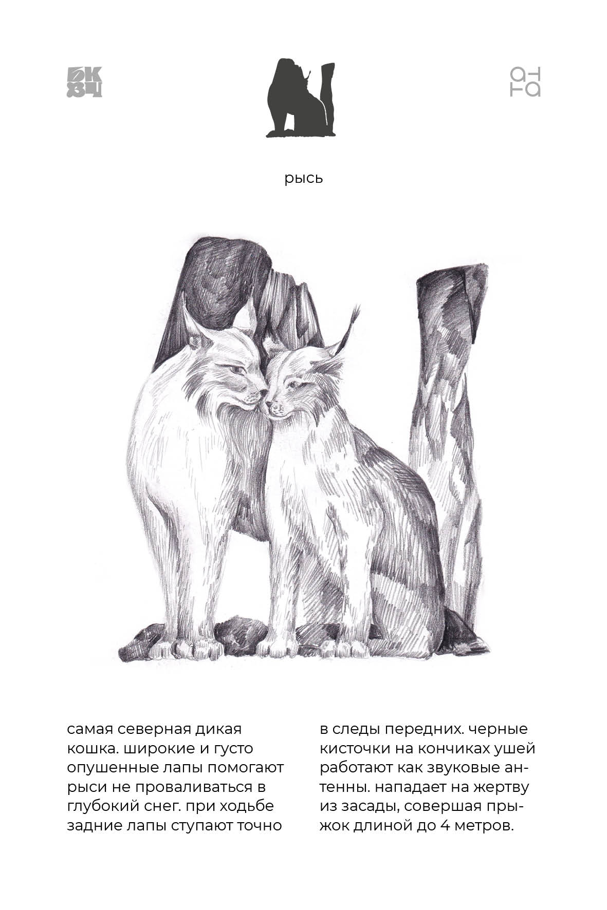Царство Животные для БКВЧ — Изображение №141 — Иллюстрация, Графика на Dprofile