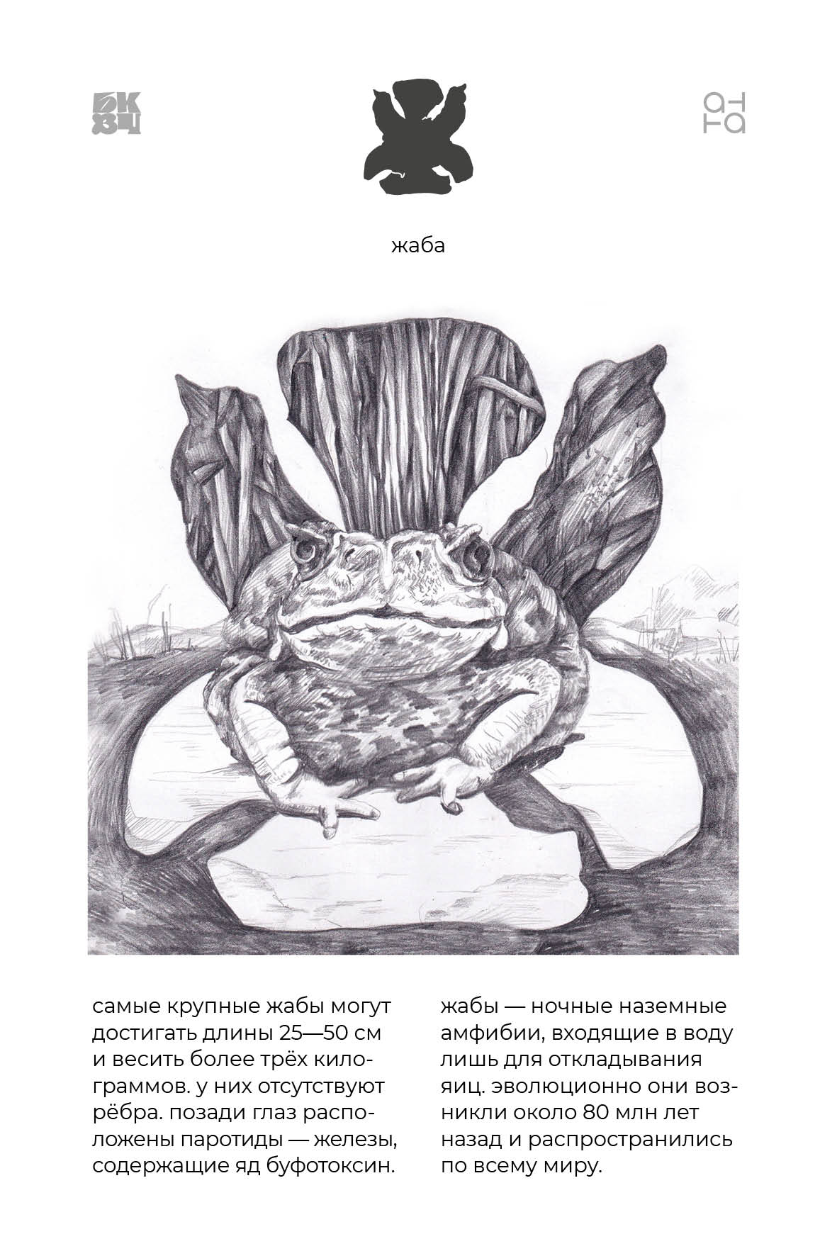 Царство Животные для БКВЧ — Изображение №118 — Иллюстрация, Графика на Dprofile